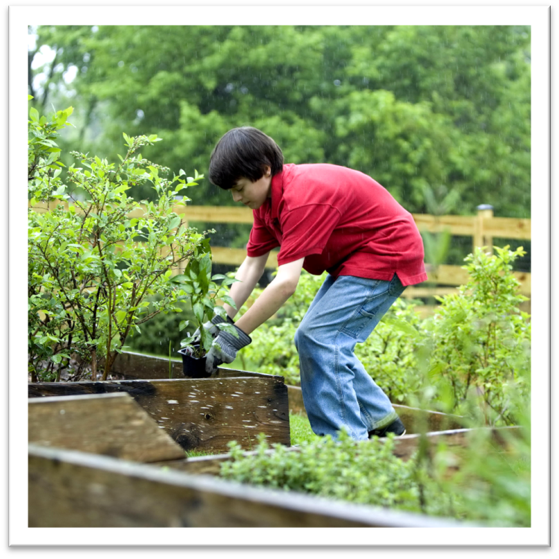 Yaxley Countryside Volunteers