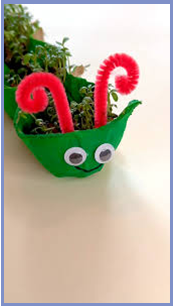SRC Cress Caterpillars