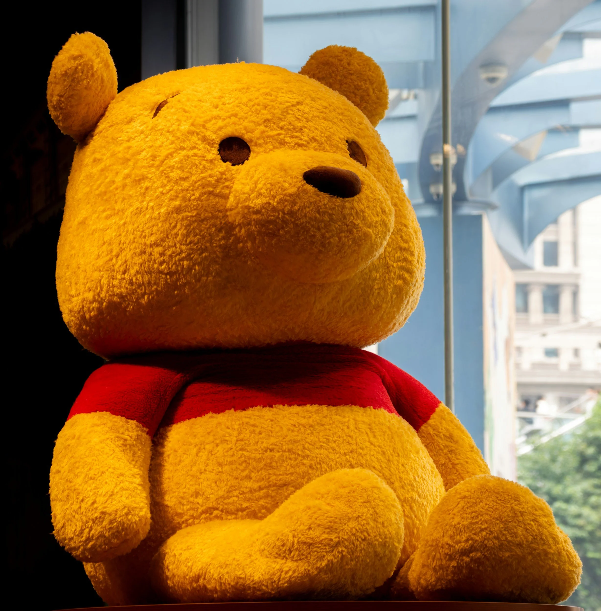 Unscramble Winnie the Pooh at Comberton Library