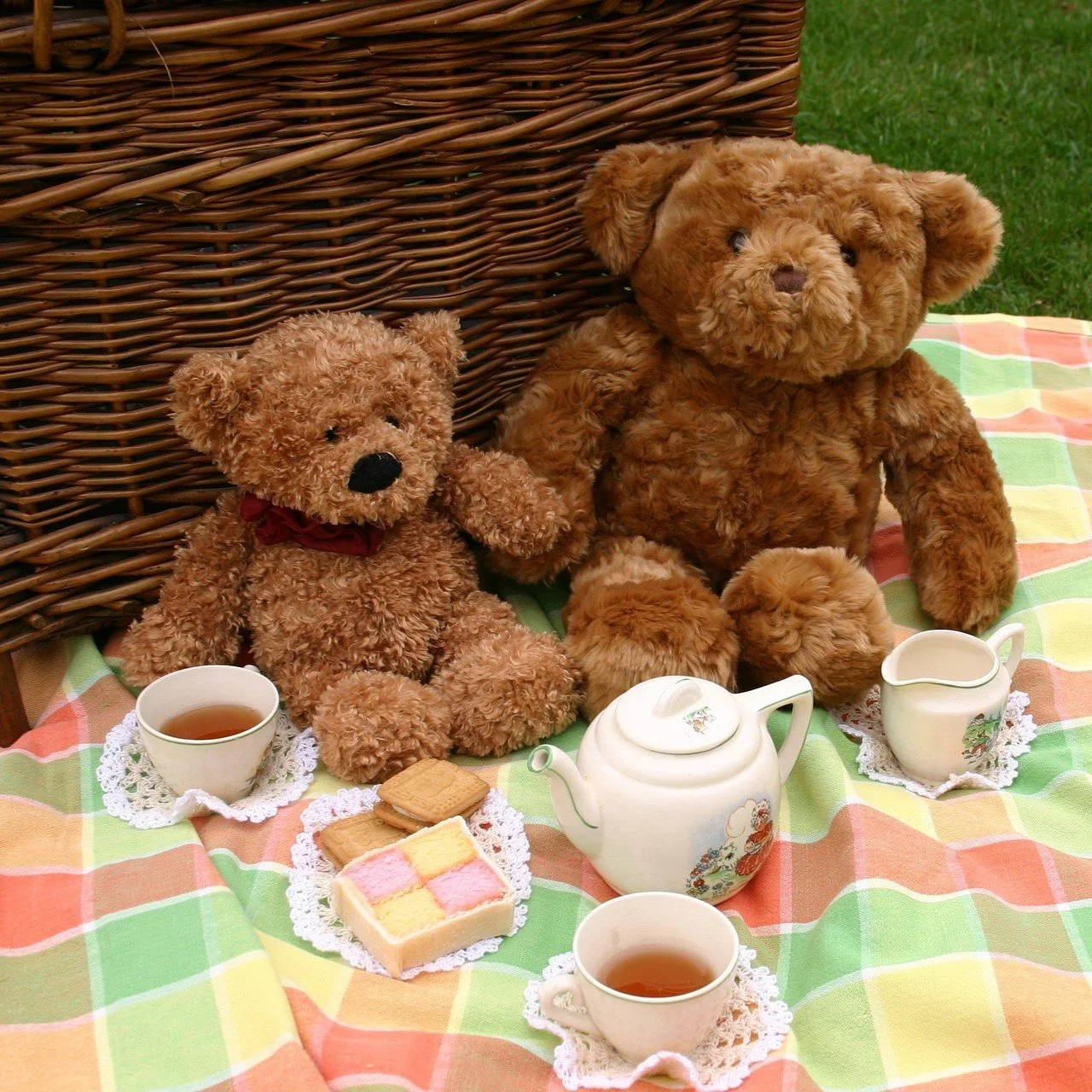Teddy Bears’ Picnic