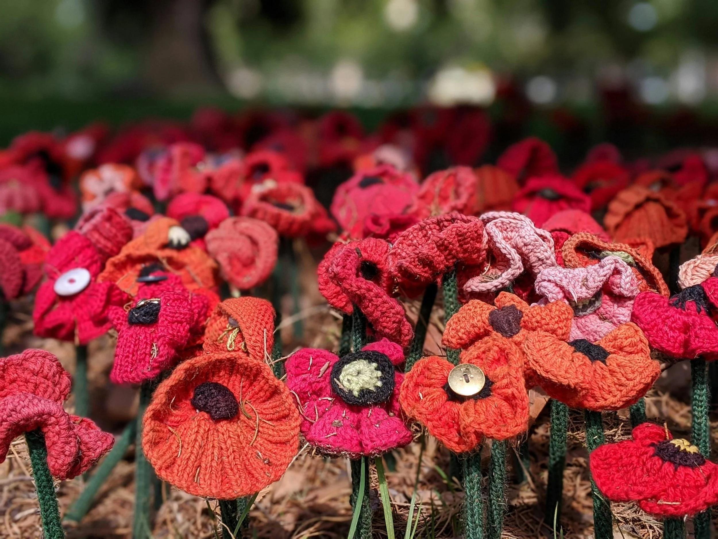 Remembrance Poppy  Crochet Workshop @Sawston Library