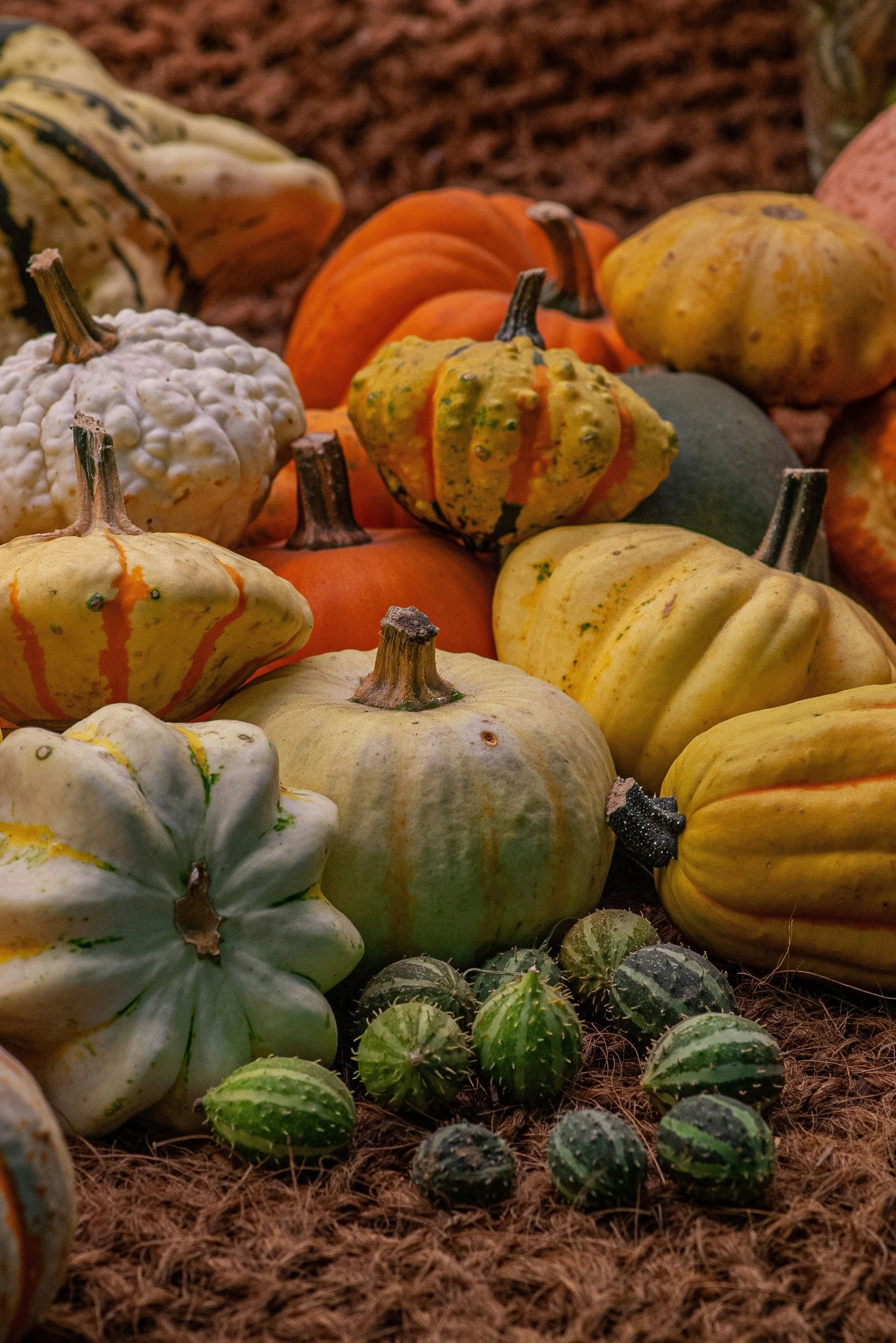 Green Halloween 