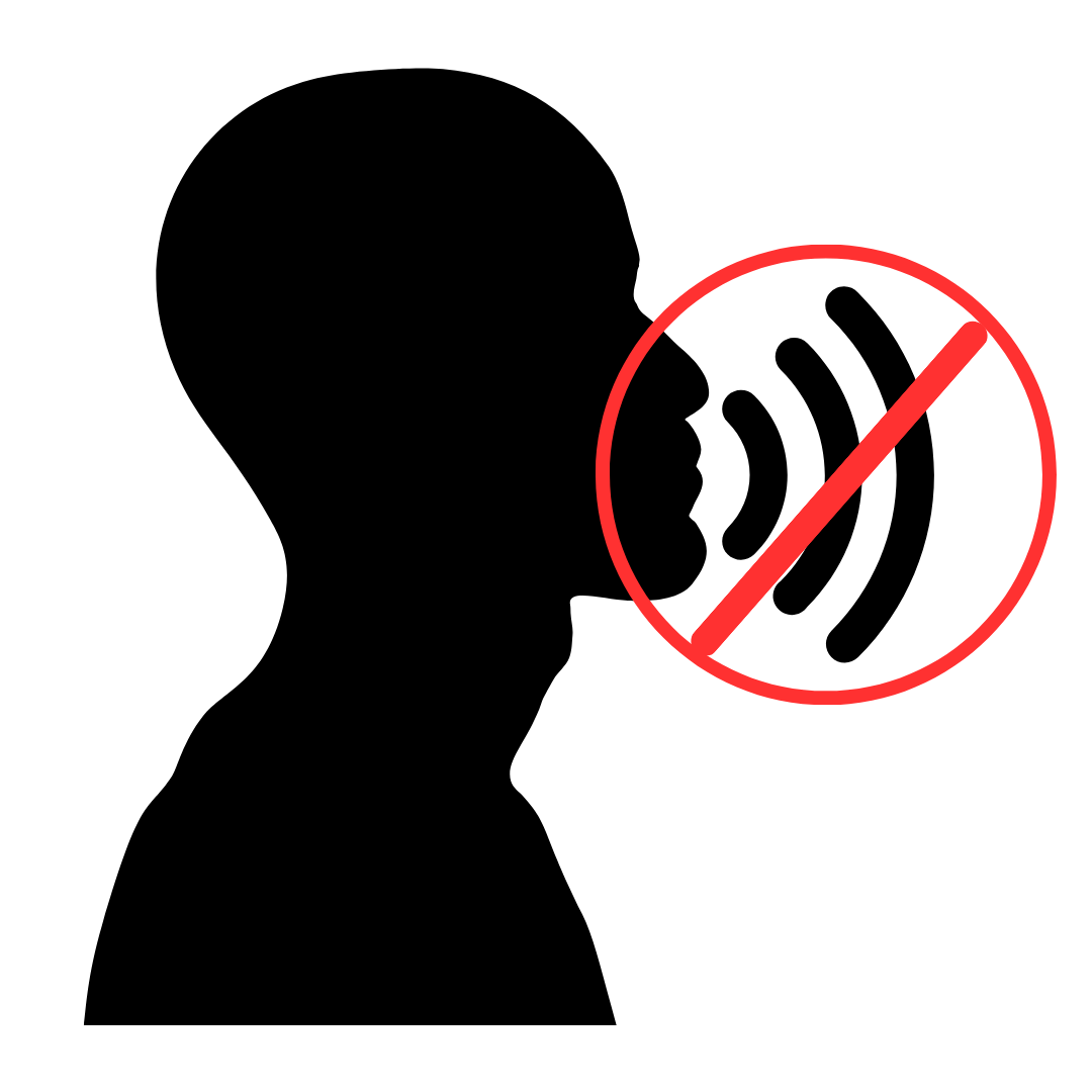 No Spoken Language.png