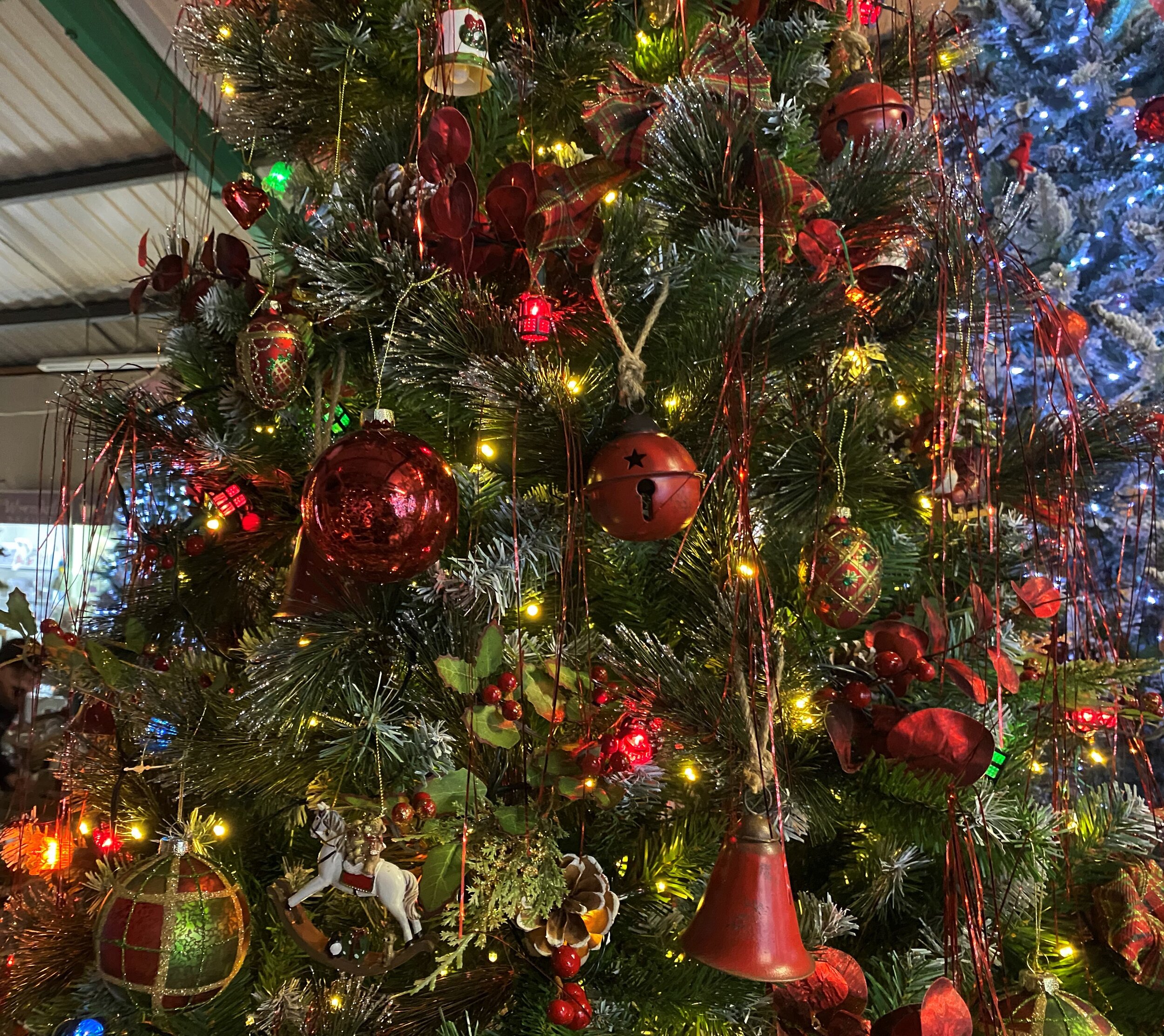 Decorated Christmas tree with red and gold ornaments, ribbons, pinecones, holly leaves, and multicolored lights.