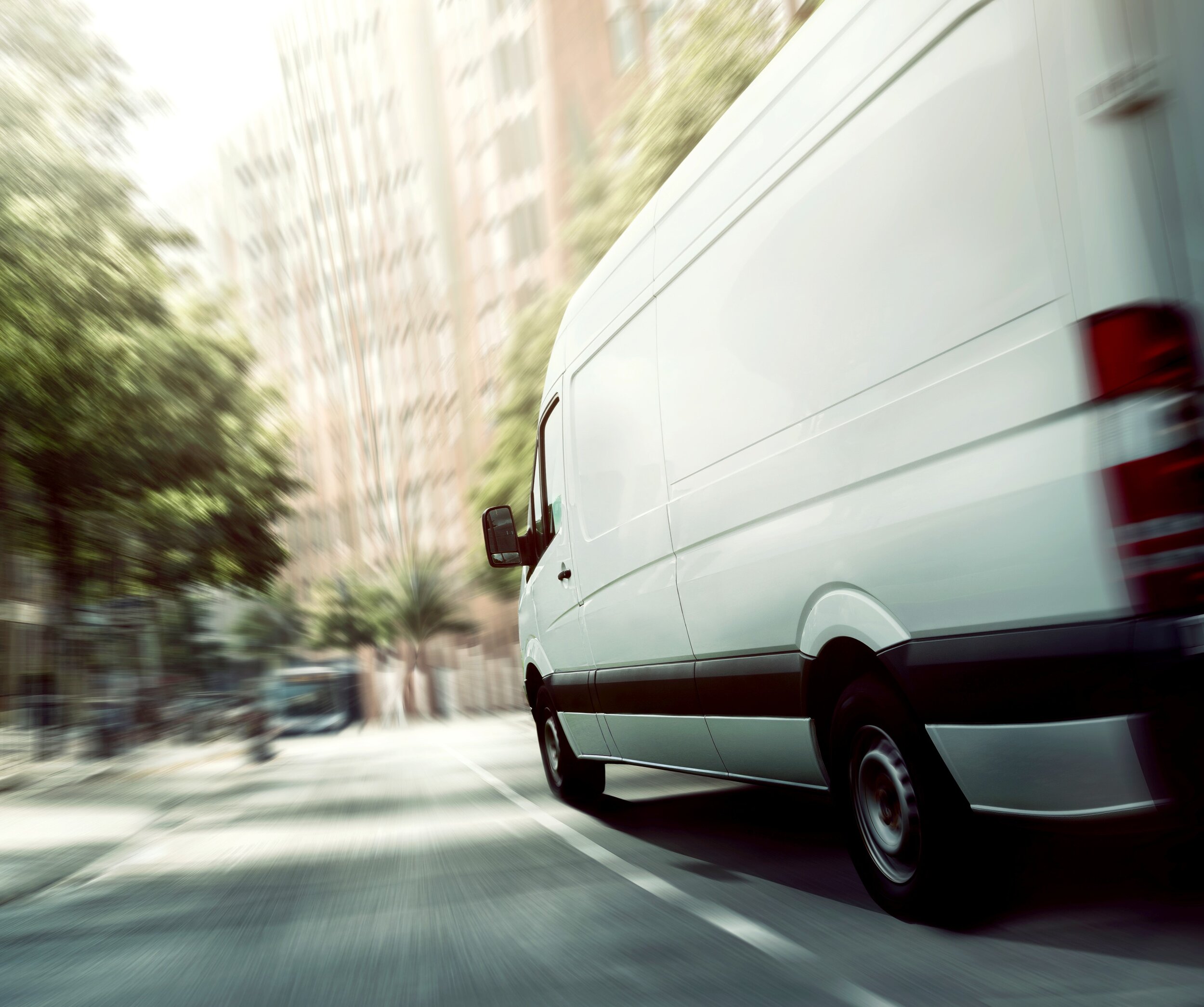 Distribution Image 1 1029851113.jpg