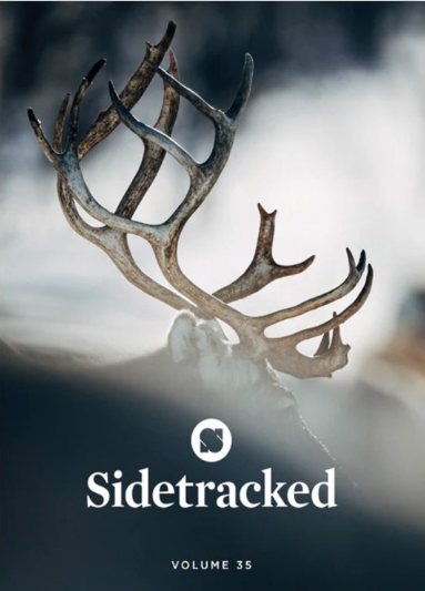 Sidetracked Issue 35