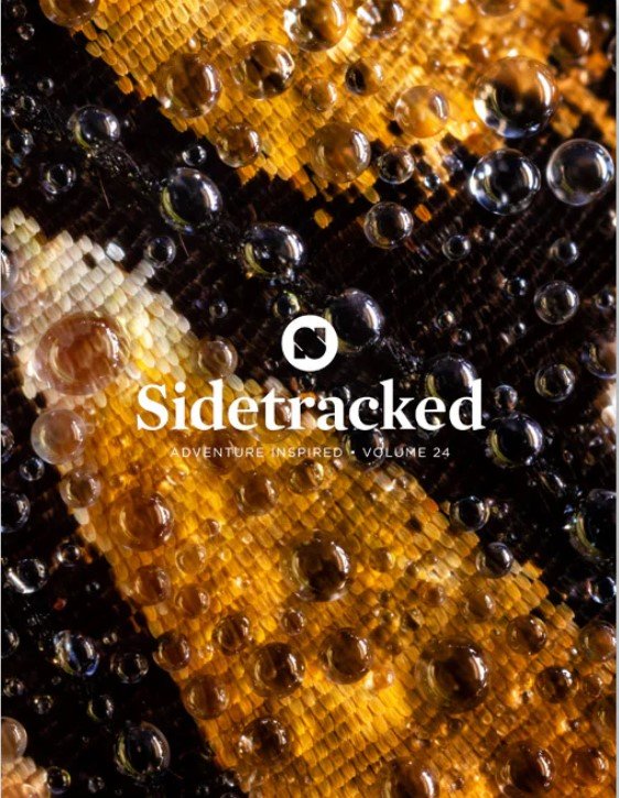 sidetracked 34.jpg