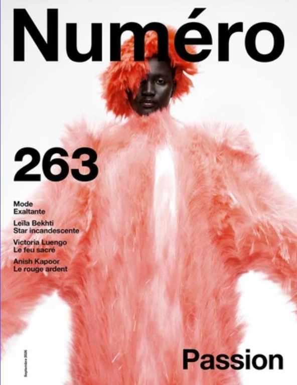 Numero Issue 263