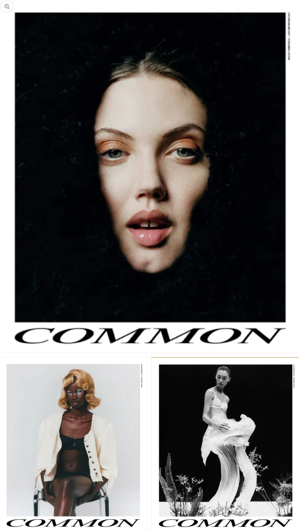 Common Language Issue 13