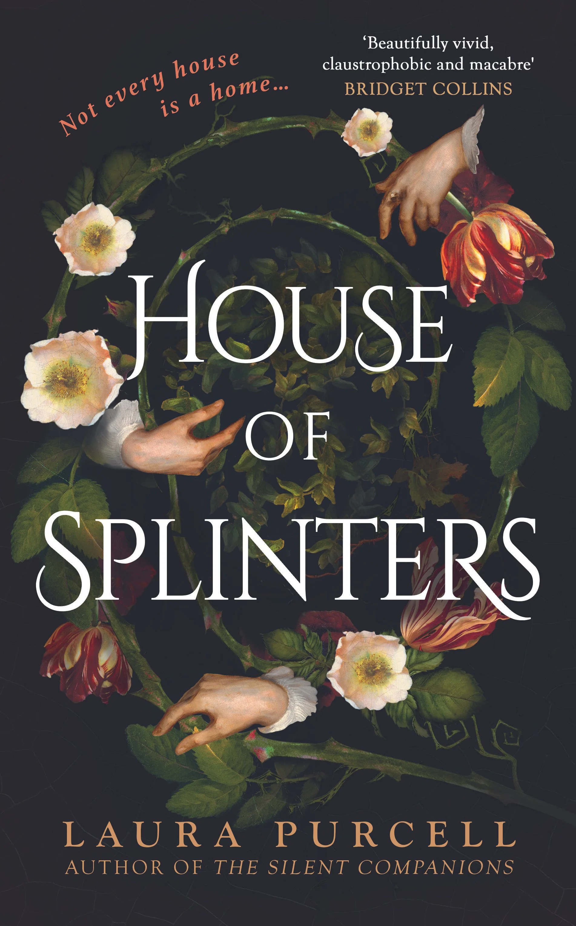House of Splinters hb jpeg for Emma .jpg