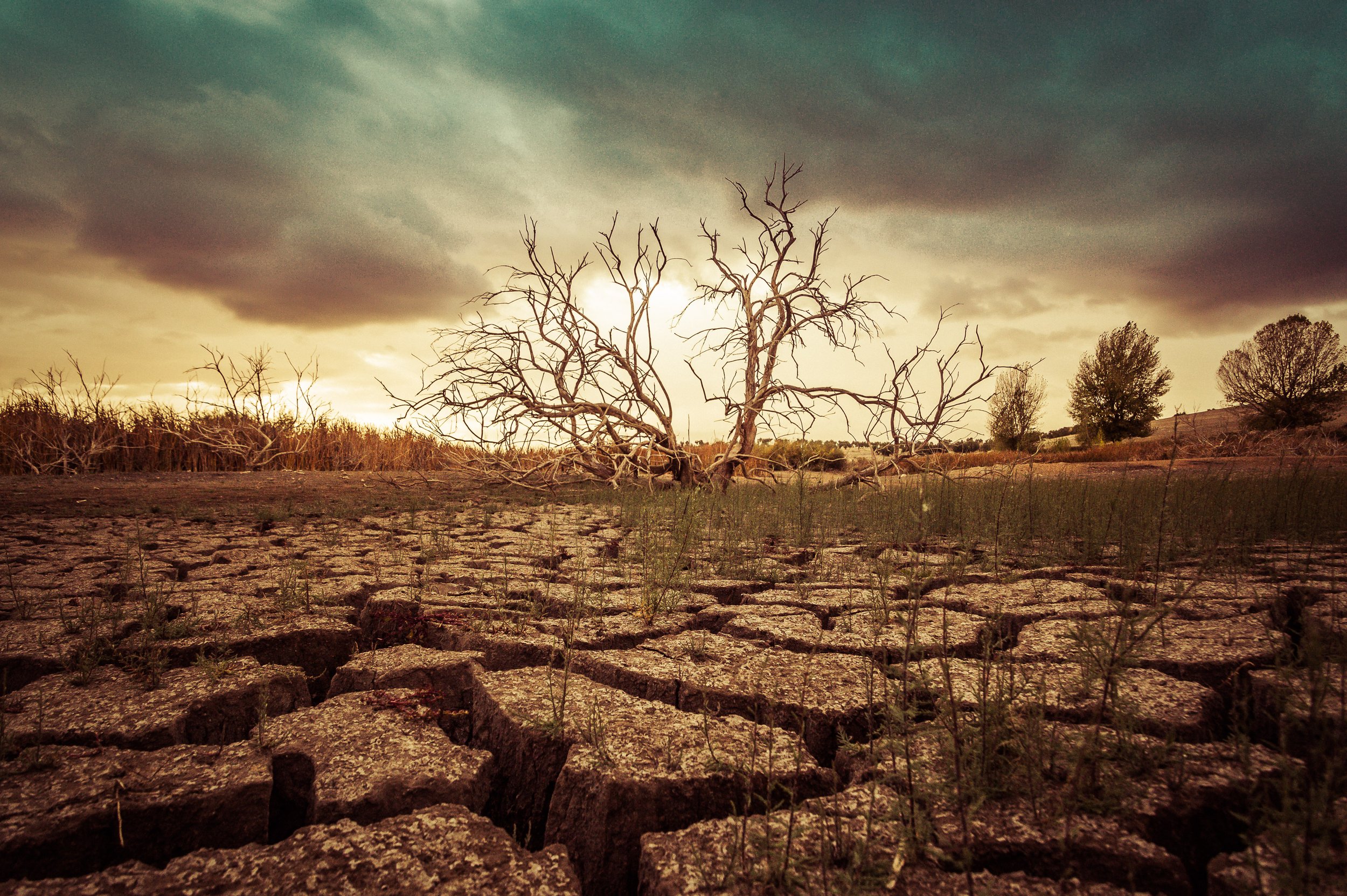 Europe has a water crisis and it's much worse than you may believe