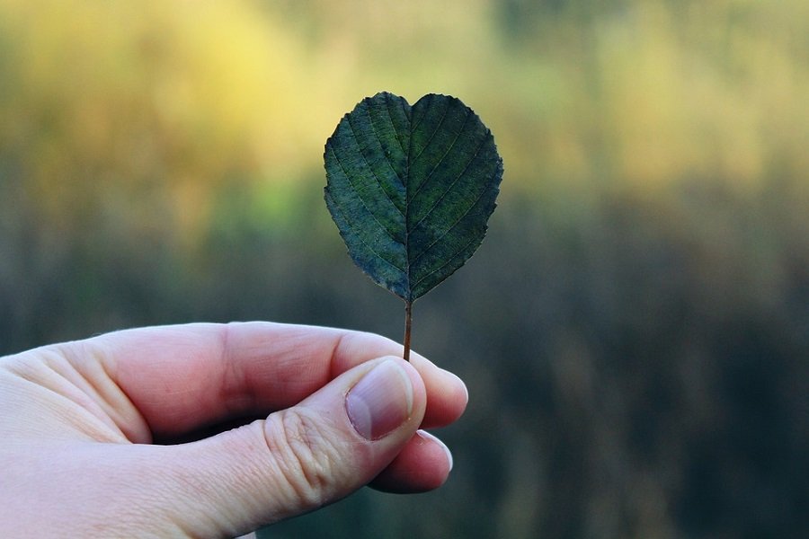 The positive climate stories that you need to hear 