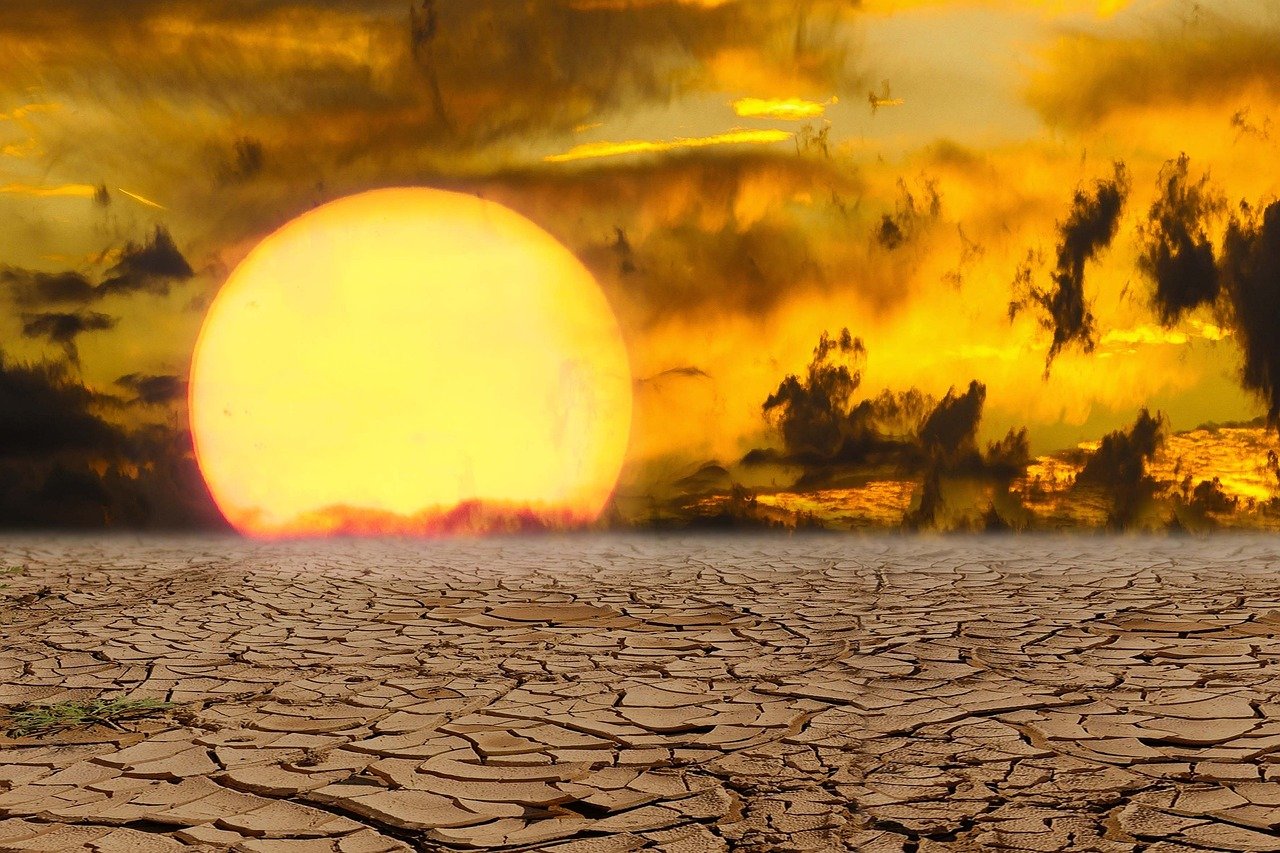 The extreme heatwaves aren't just another hot summer