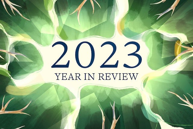Climate Change Wrapped: A Year of Global Challenges and Sustainable Progress