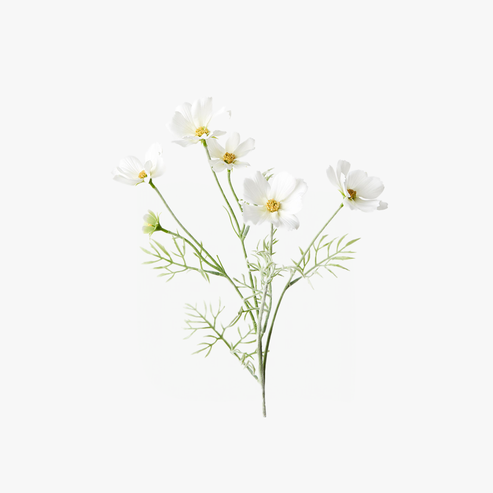 Cosmos Spray - White