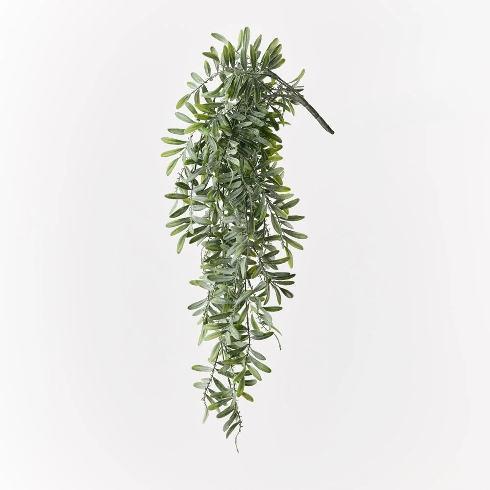 Acacia Leaf Hanging Bush