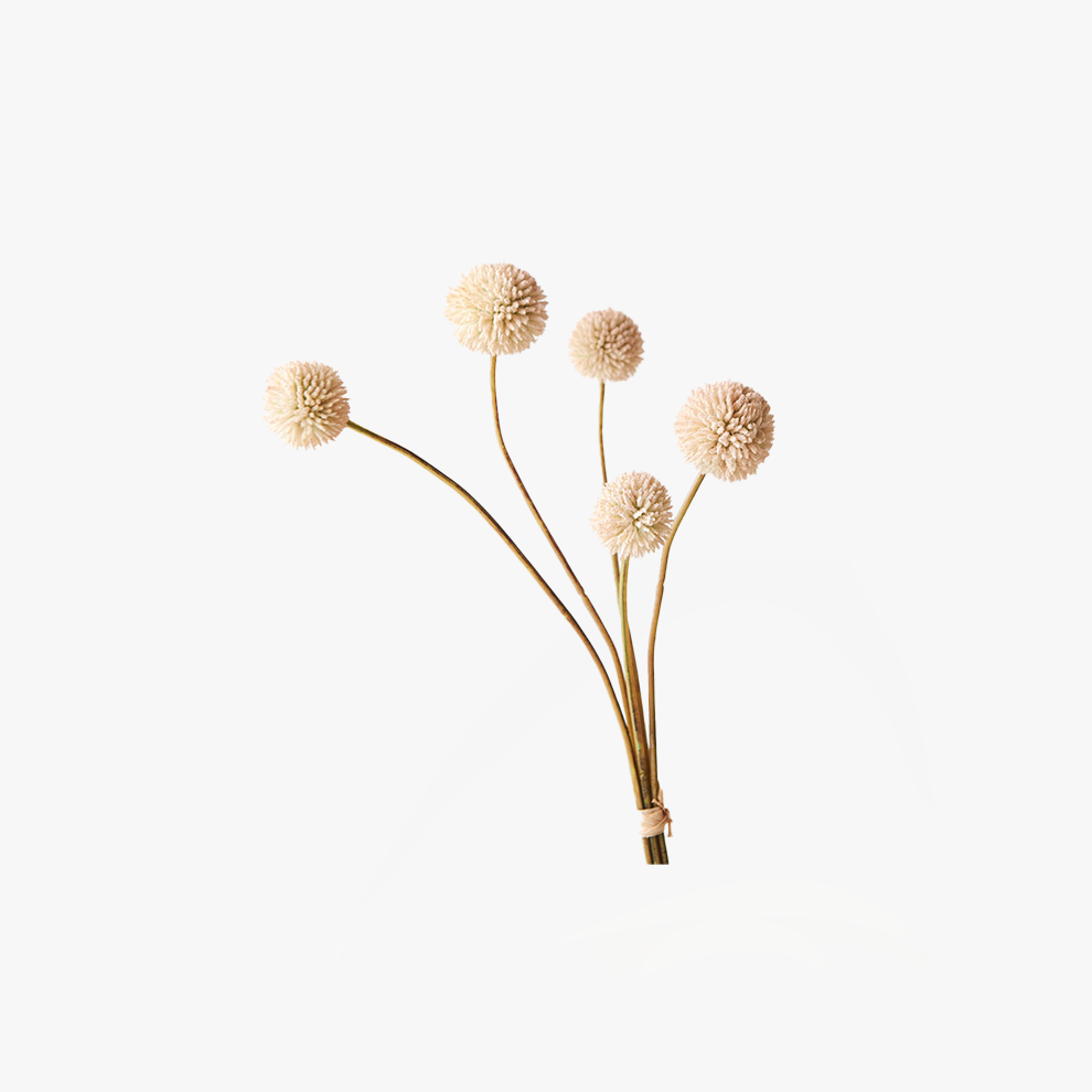 Billy Button - Cream