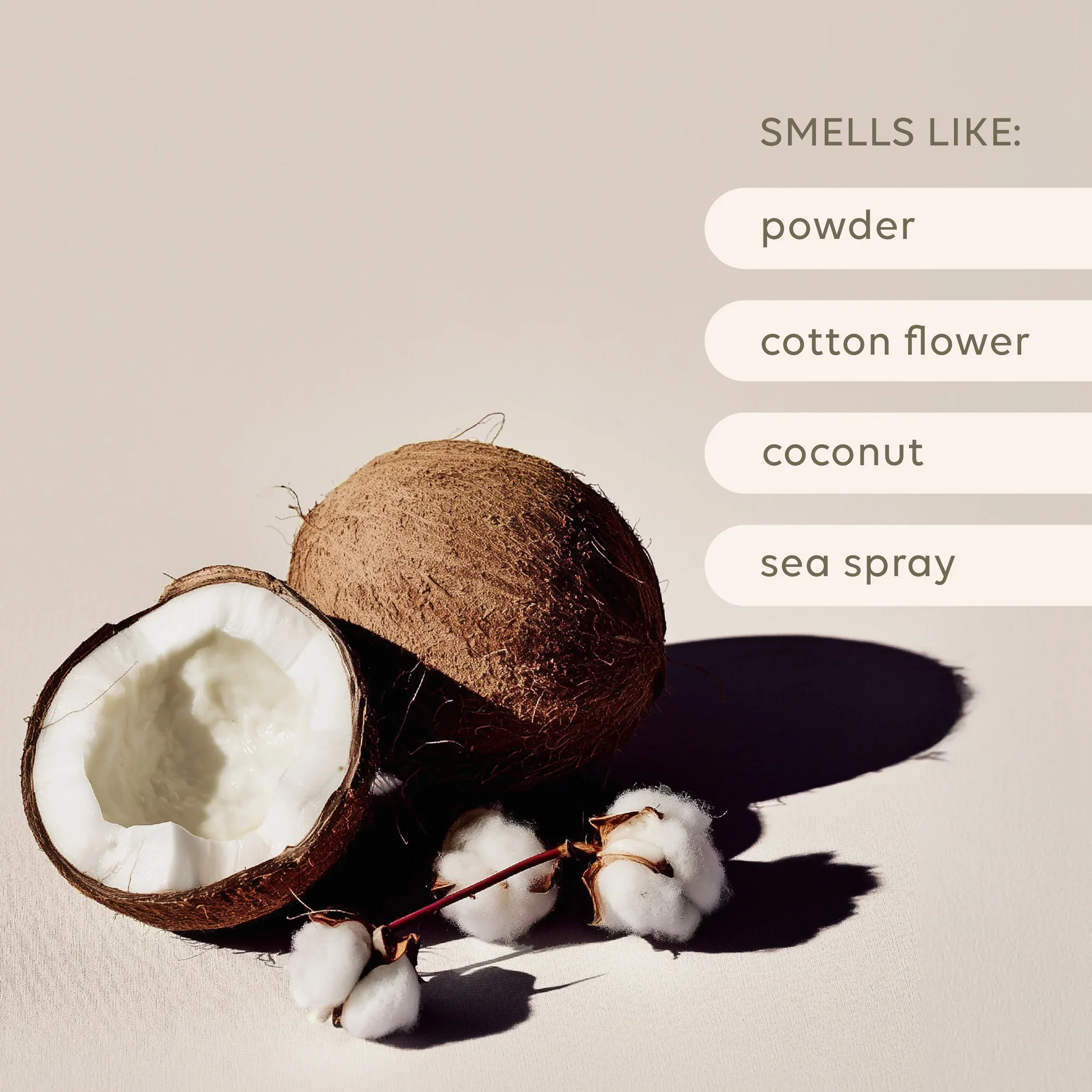 Home_Fragrance_USPS-03_3_2048x2048_jpg_e3b6b683-fe5a-4edd-bc63-50342a332472.webp