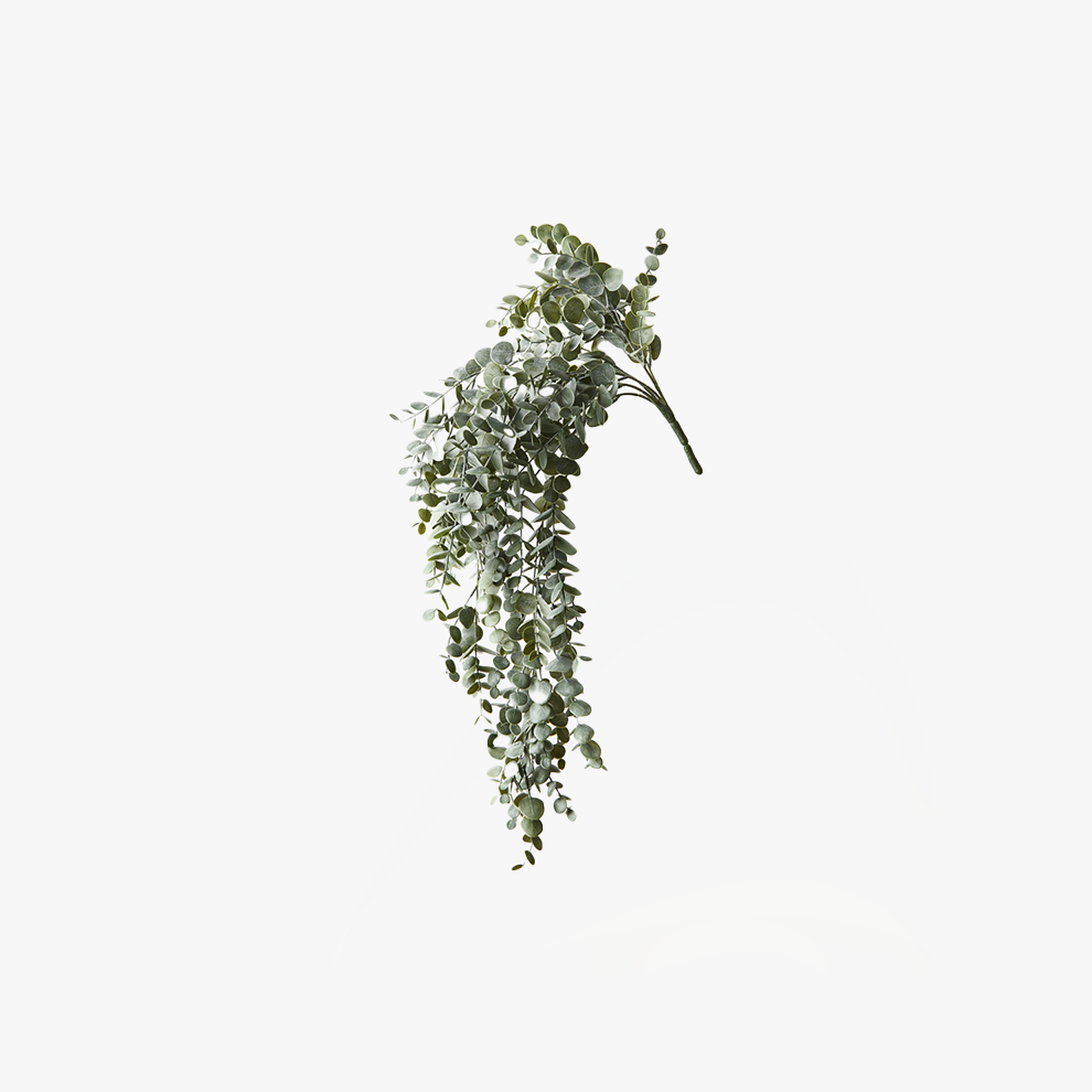 Eucalyptus Hanging Bush - Grey Green