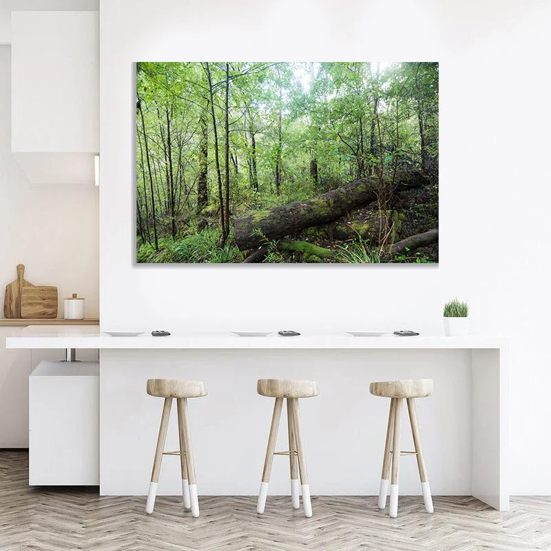 TPE435-SUMMER-PALMS-PALM-TREE-CANVAS-ART-PRINT-BY-THE-PRINT-EMPORIUM_WHITE-FRAME-Interior_800x.jpg