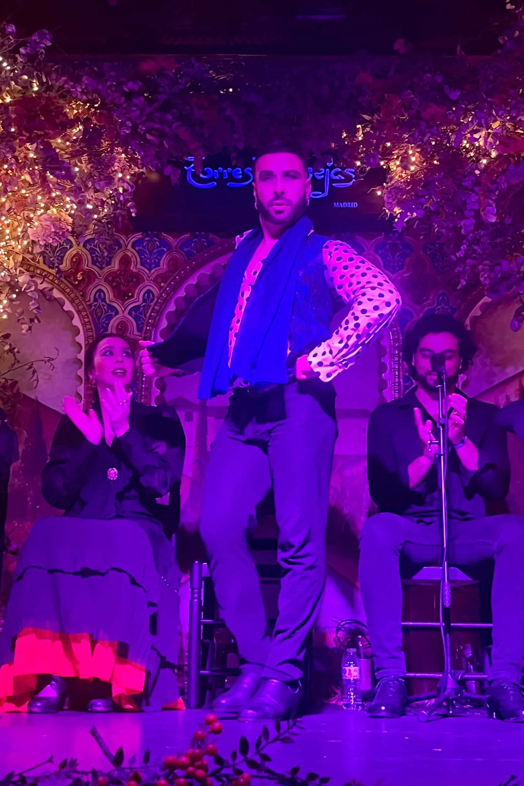 hemels-madrid-reisgids-flamenco-torres-bermejas-bailaor.jpeg