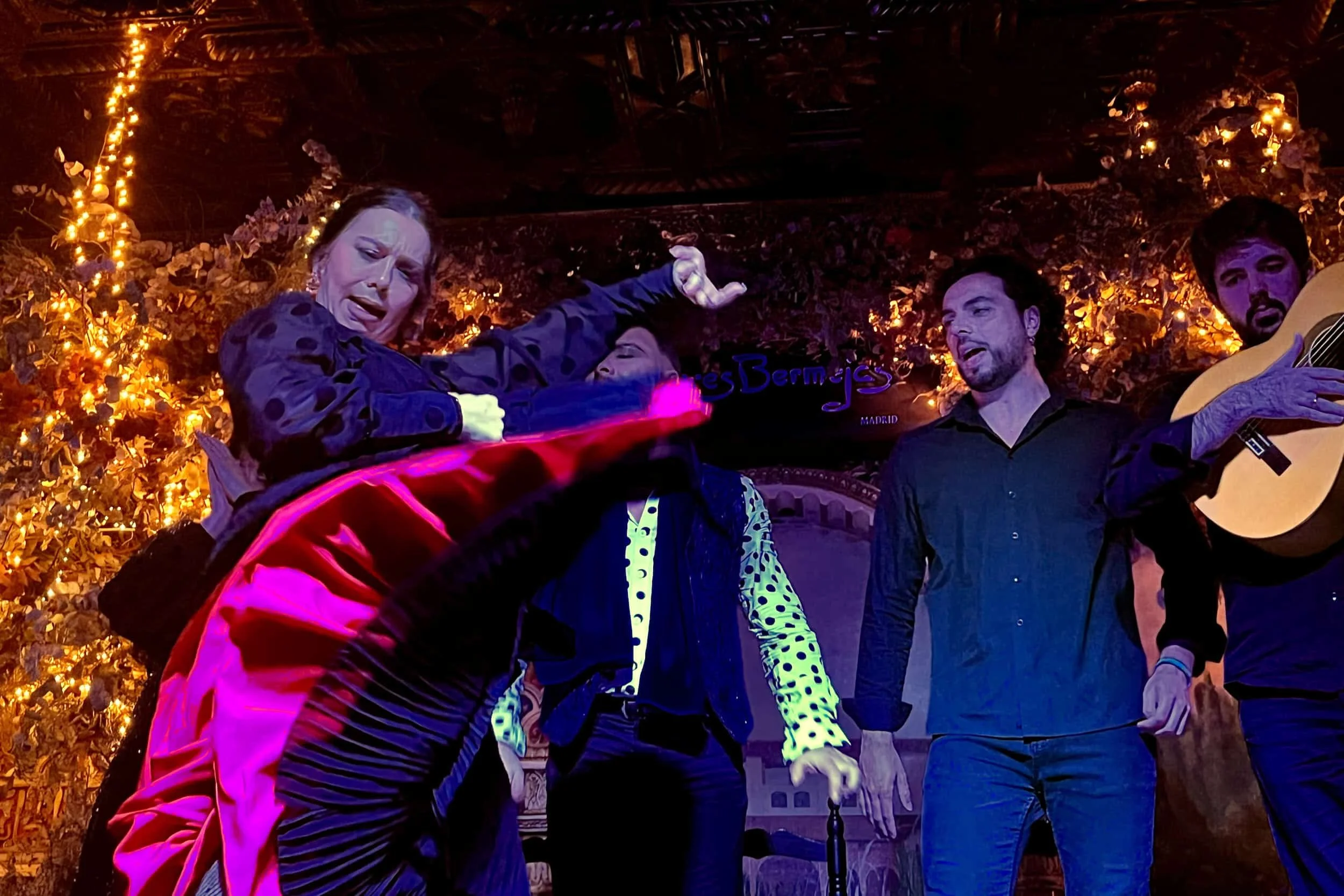 hemels-madrid-reisgids-flamenco-torres-bermejas-ole-todos.jpeg