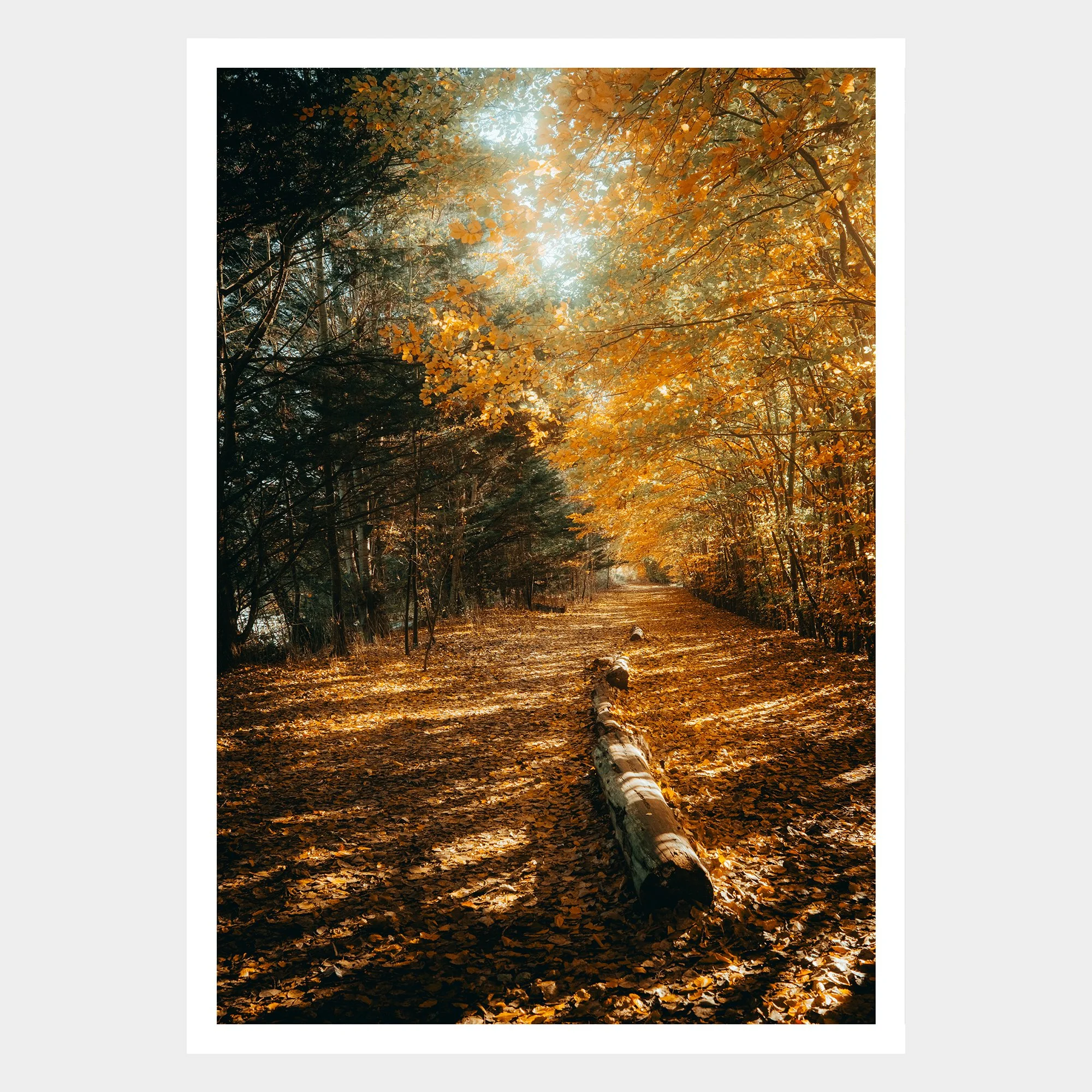 Radley Lakes - P.jpg