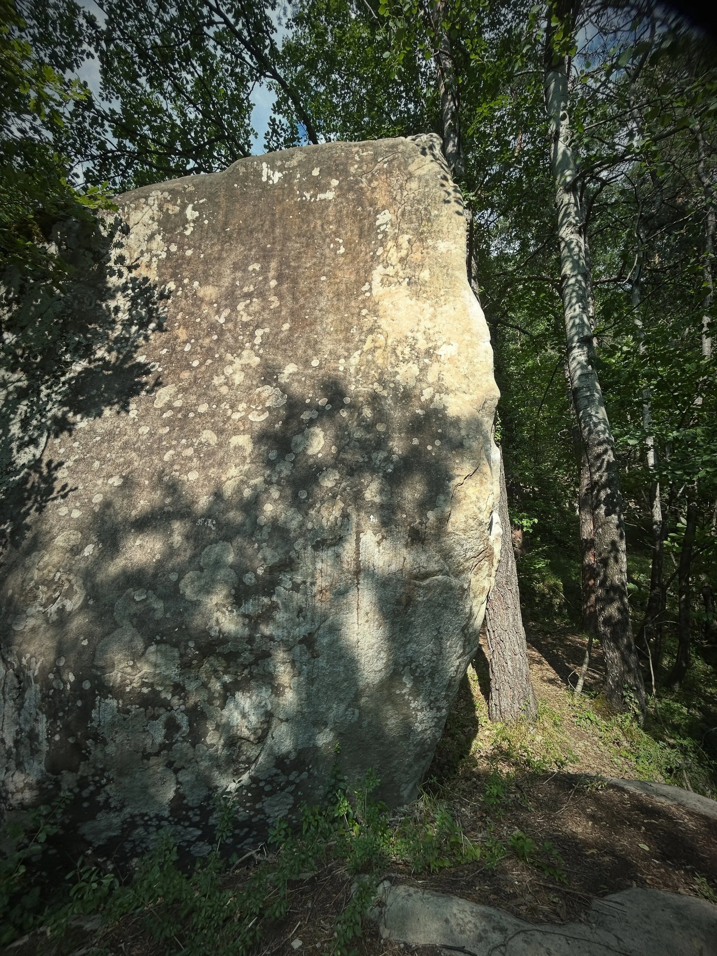 Had an explore around the 2024 #annotbloc sector today,  some awesome looking boulders on a beautiful wooded hillside. Unfortunately it&rsquo;s just way too hot to climb any at the moment as it&rsquo;s 34 degrees but definitely considering an Easter 