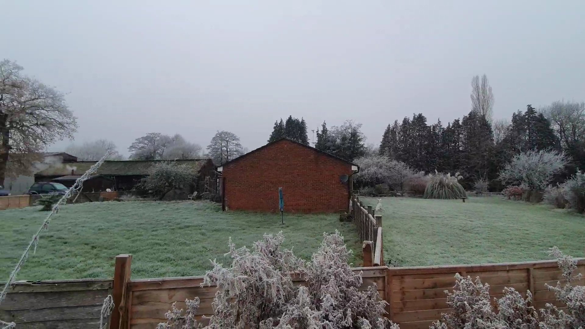 VideoCapture_20230111-201553.jpg
