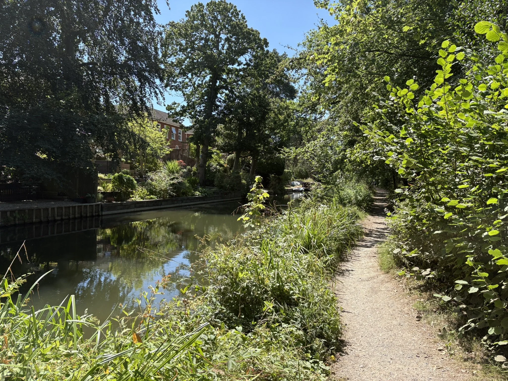 IMG_4126.JPEG