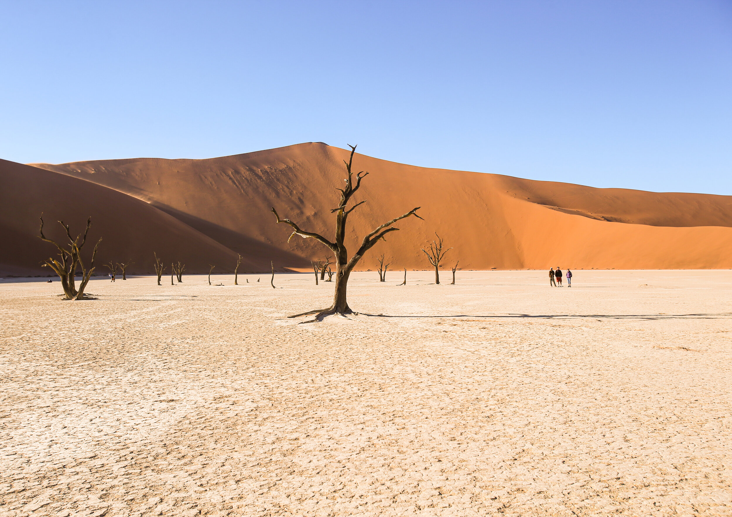 Sossusvlei Desert - Namibia