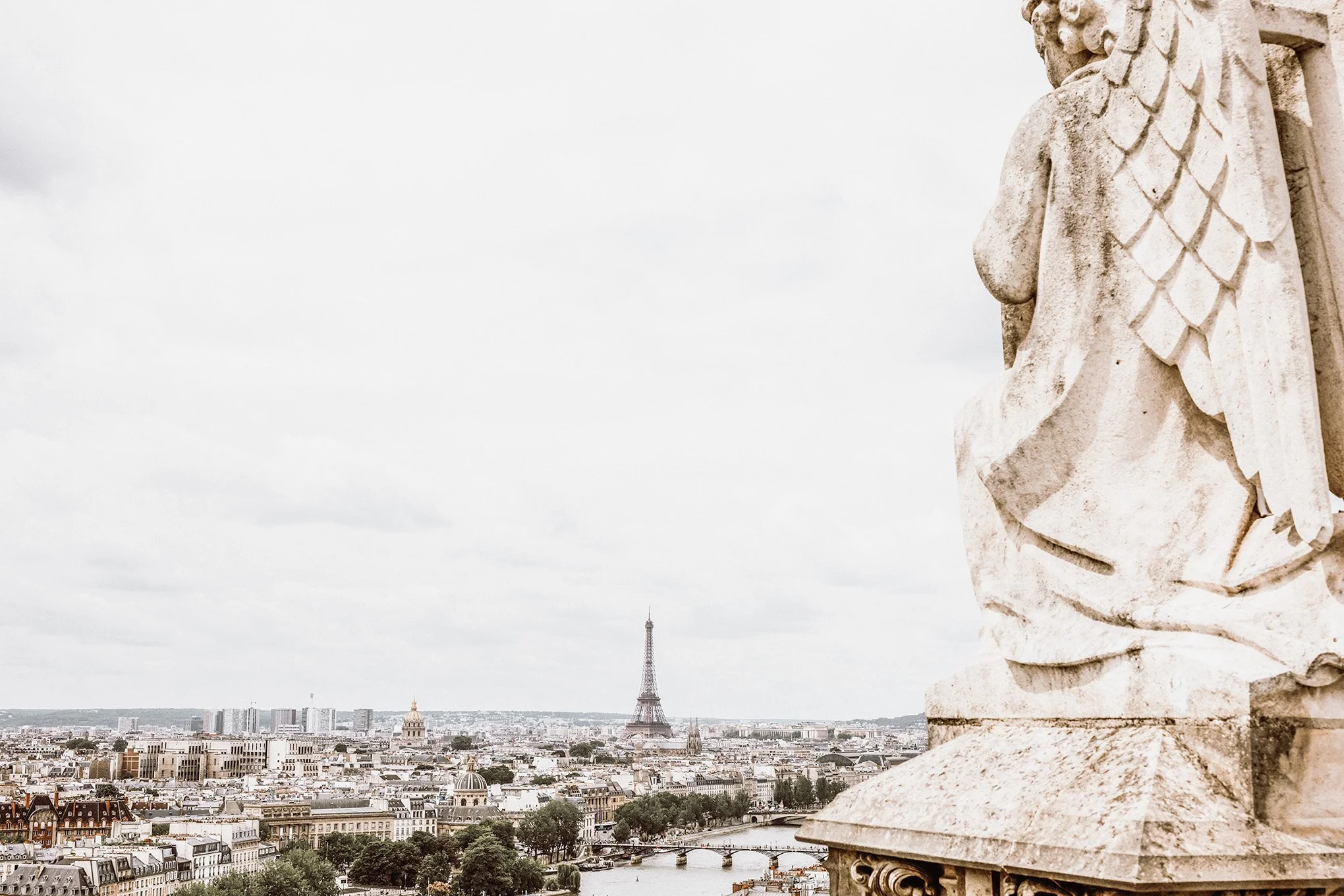 Paris Angel