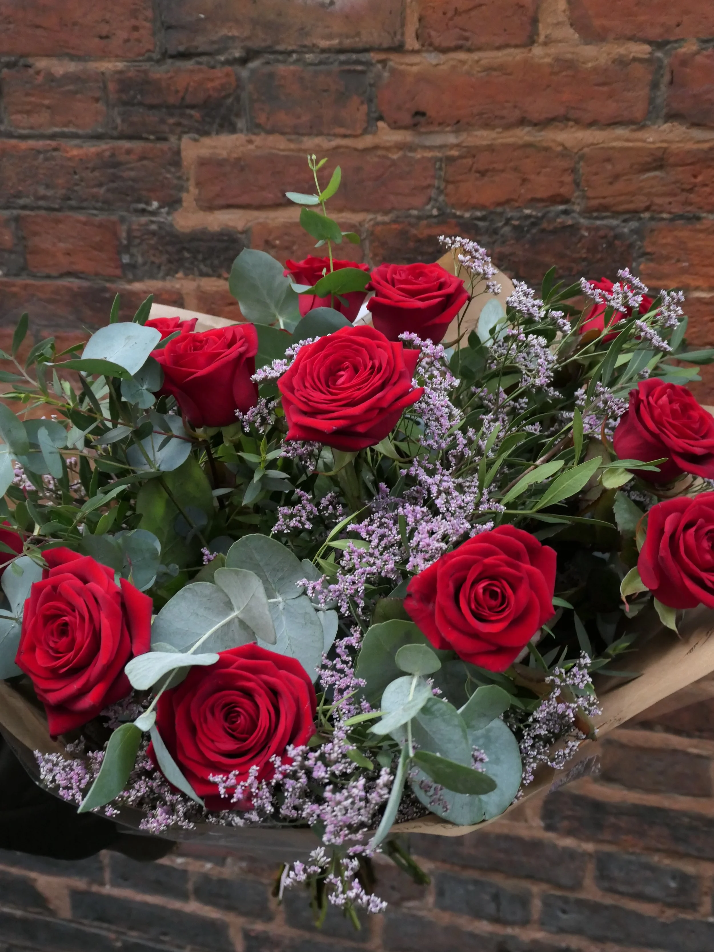 The Romantic Red Rose One