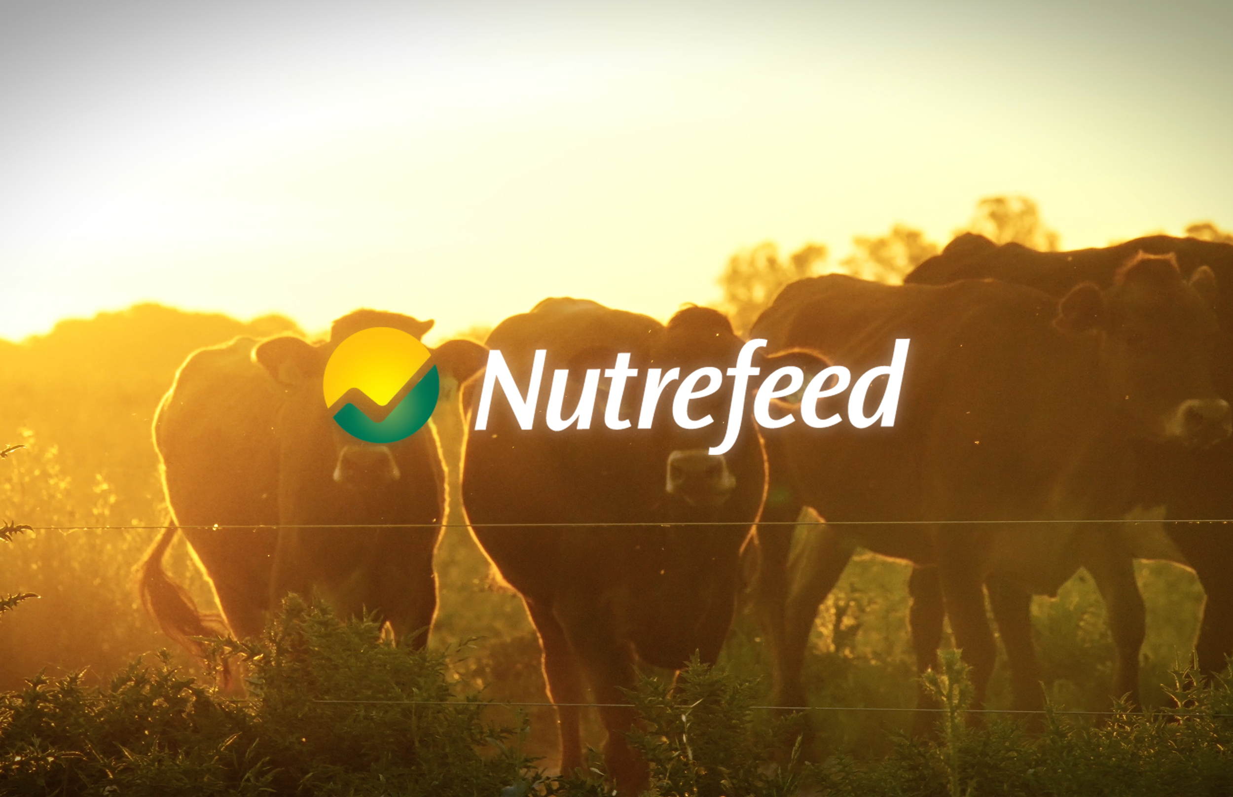 Screenshot 2026-01-15 at 17.37.07.png