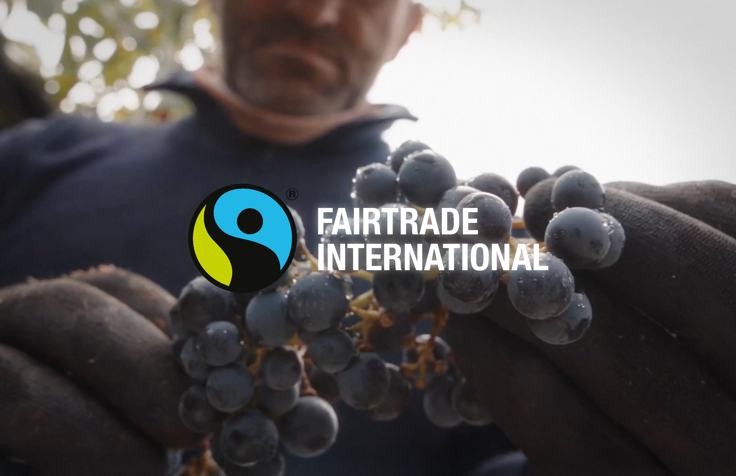 Screenshot 2026-01-15 at 17.07.39.png