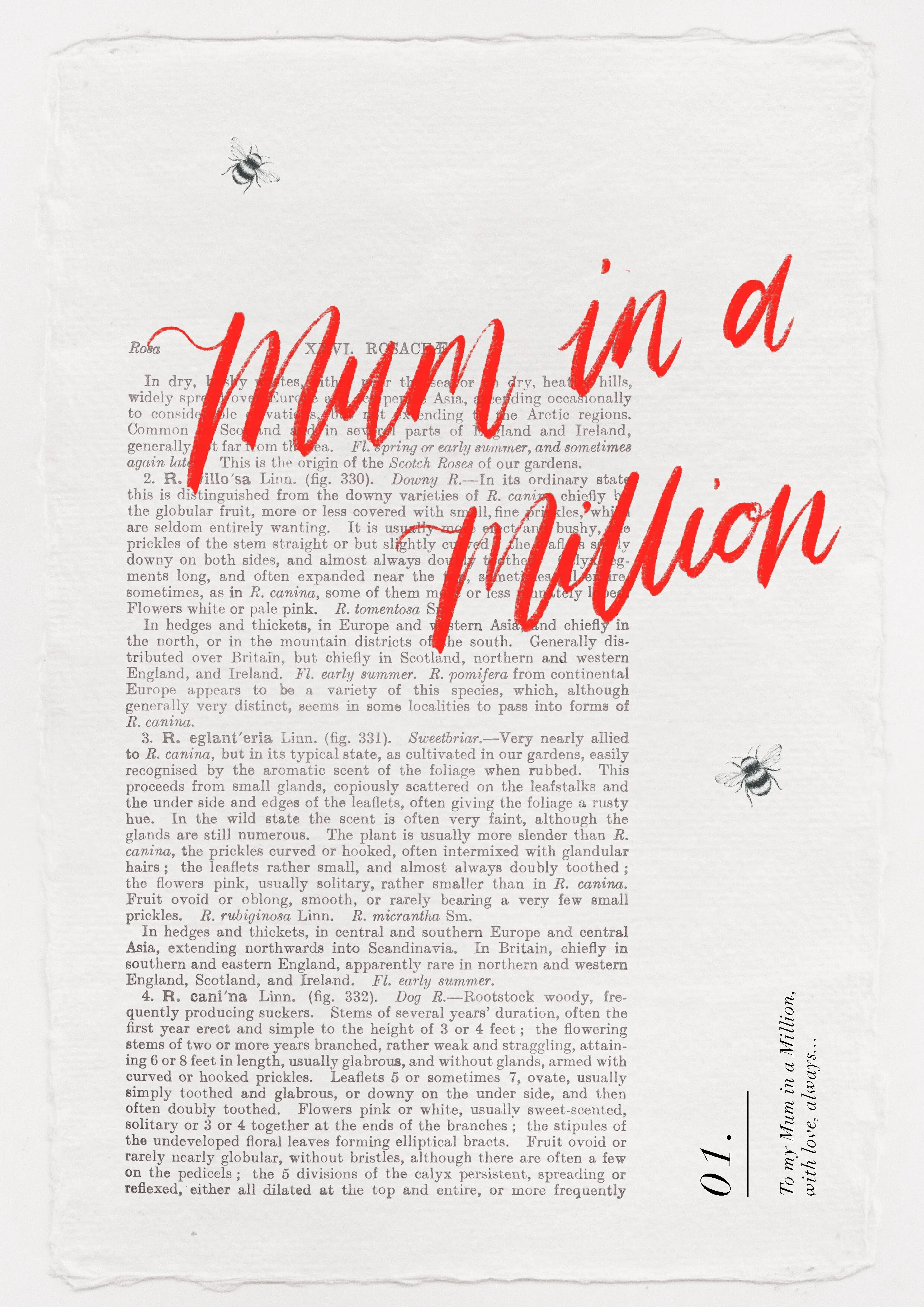 2. Final Design Concept.jpg