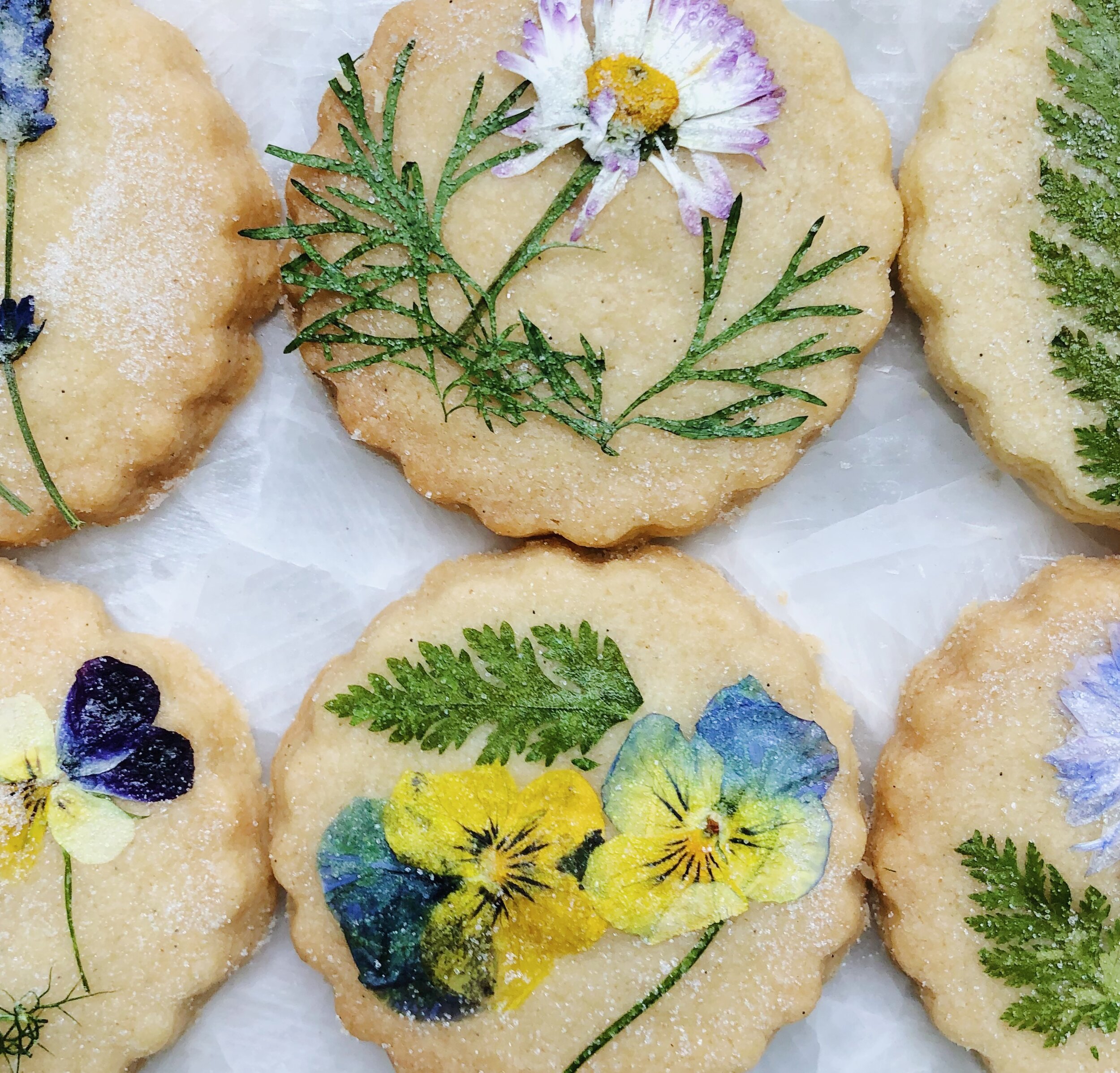 3. Artisan Social Close Up.JPG