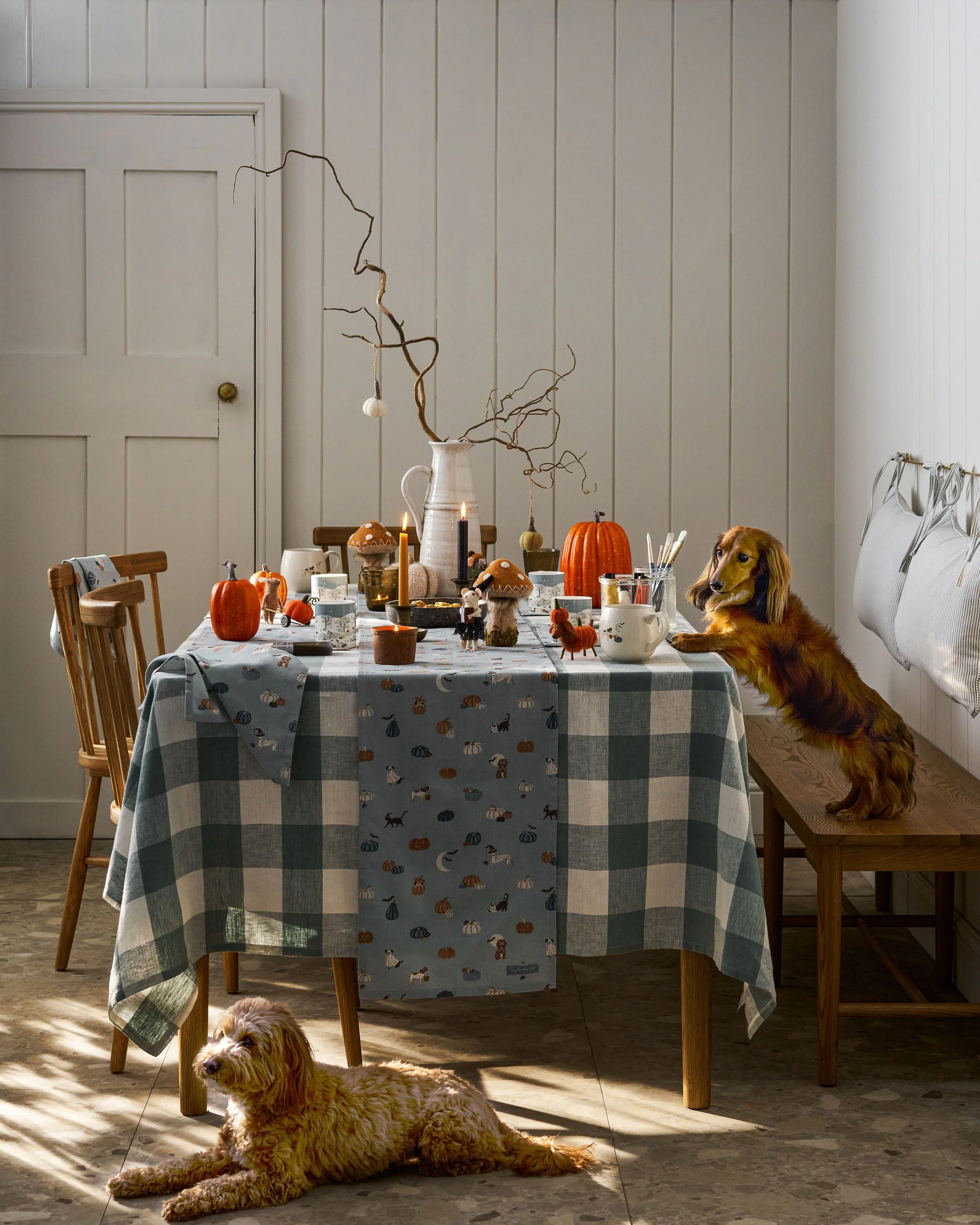 AW25-PAWS-AND-PUMPKINS-DINING-HERO-PORTRAIT.jpg
