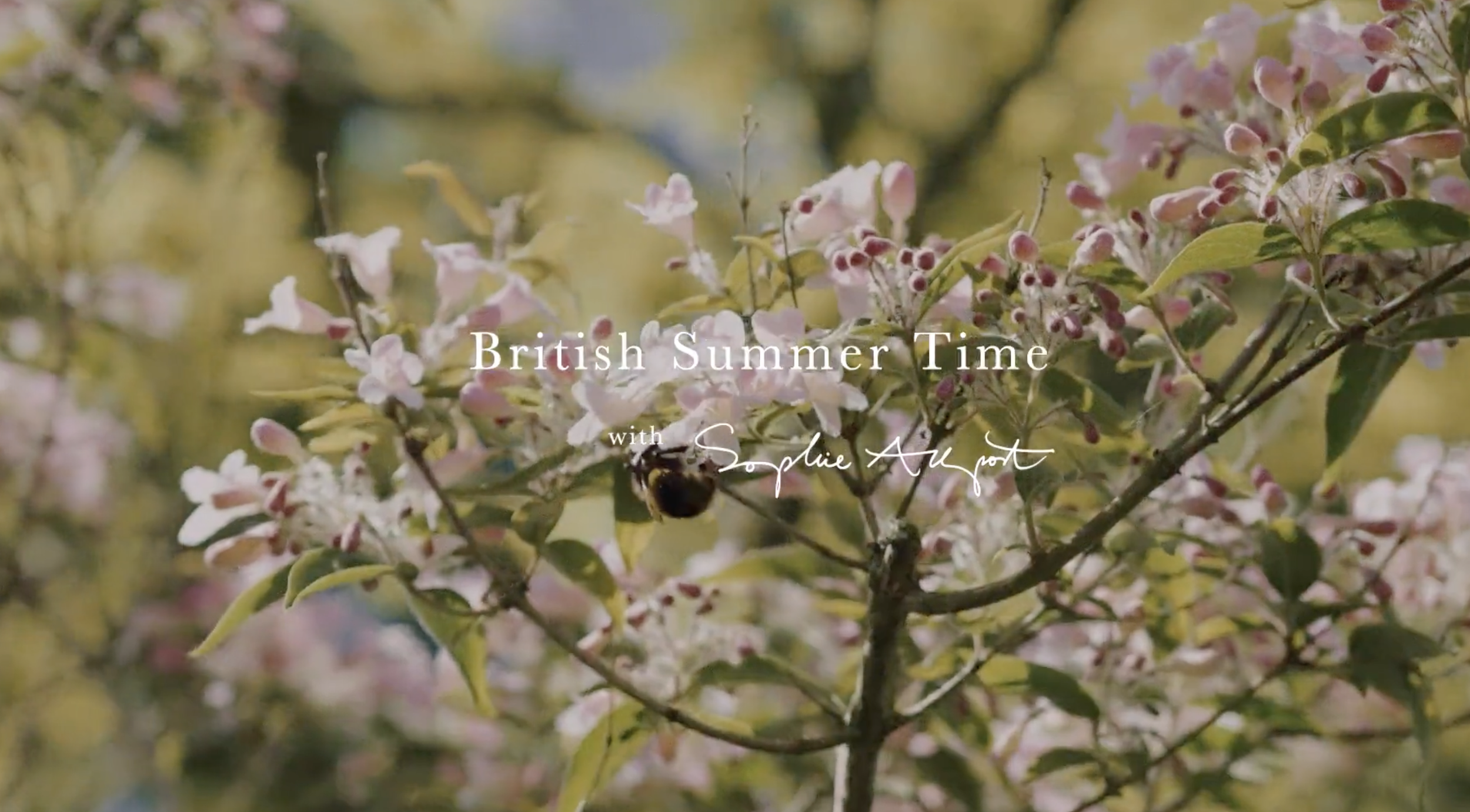 Sophie Allport British Summertime Campaign 