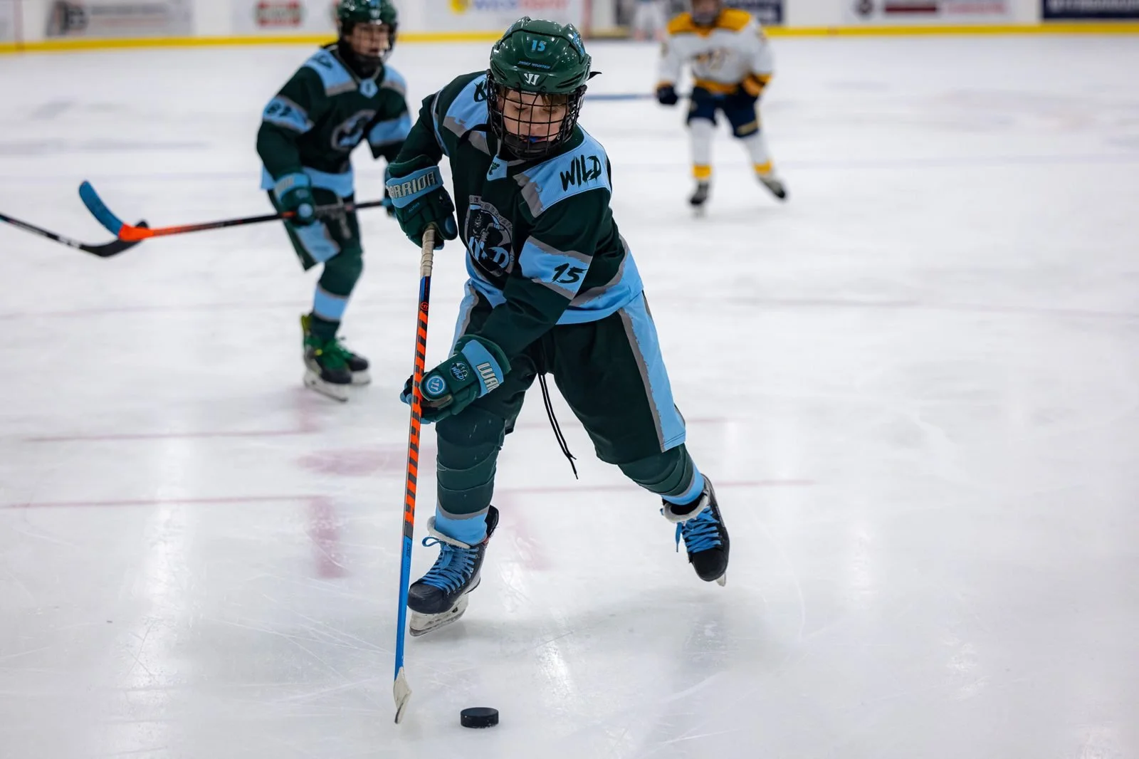 wild-w087.jpg