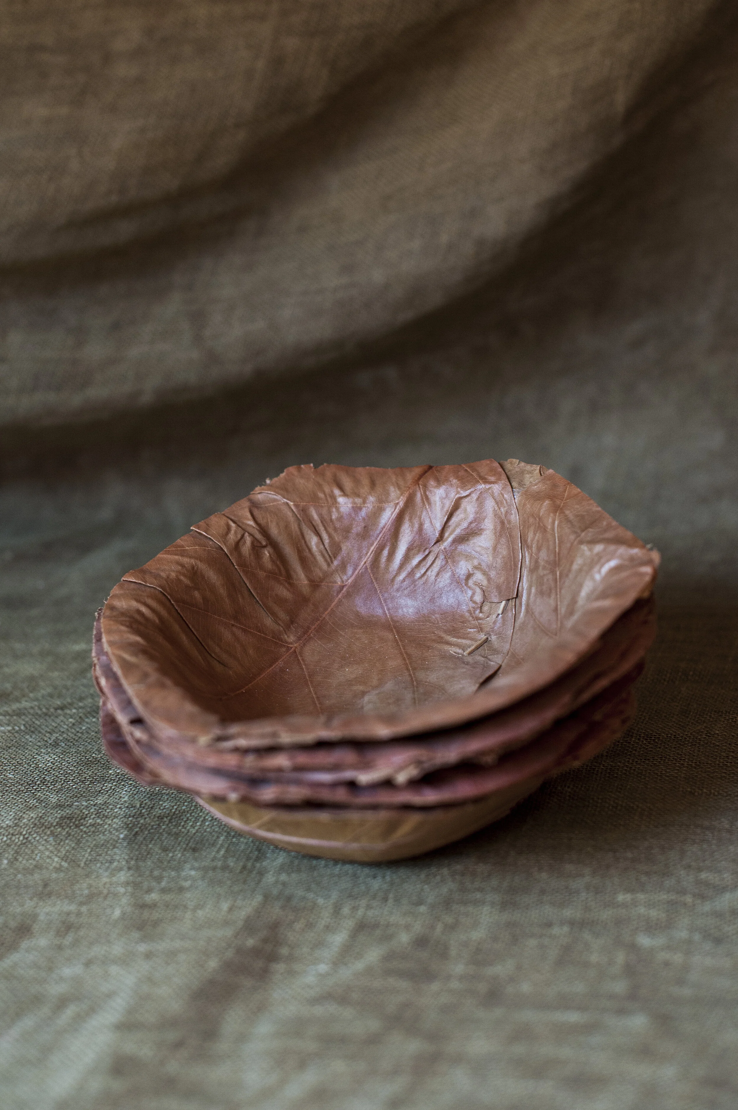 Leaves Bowl
