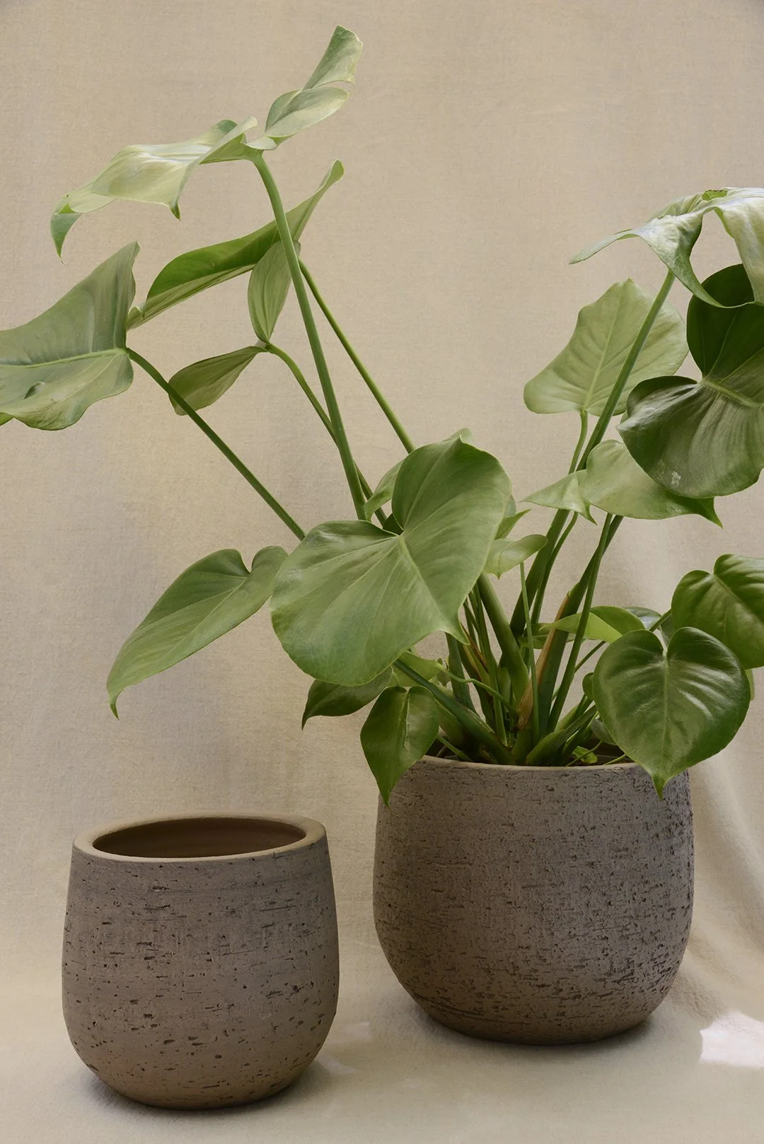 Corkish Pots