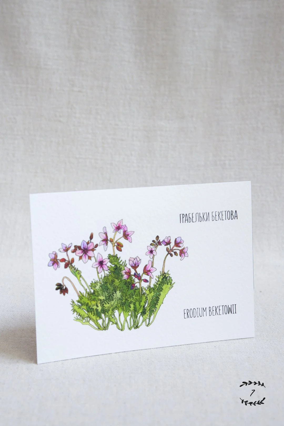 23-12_wild-plants-illustrations-prints_10-#7.jpg