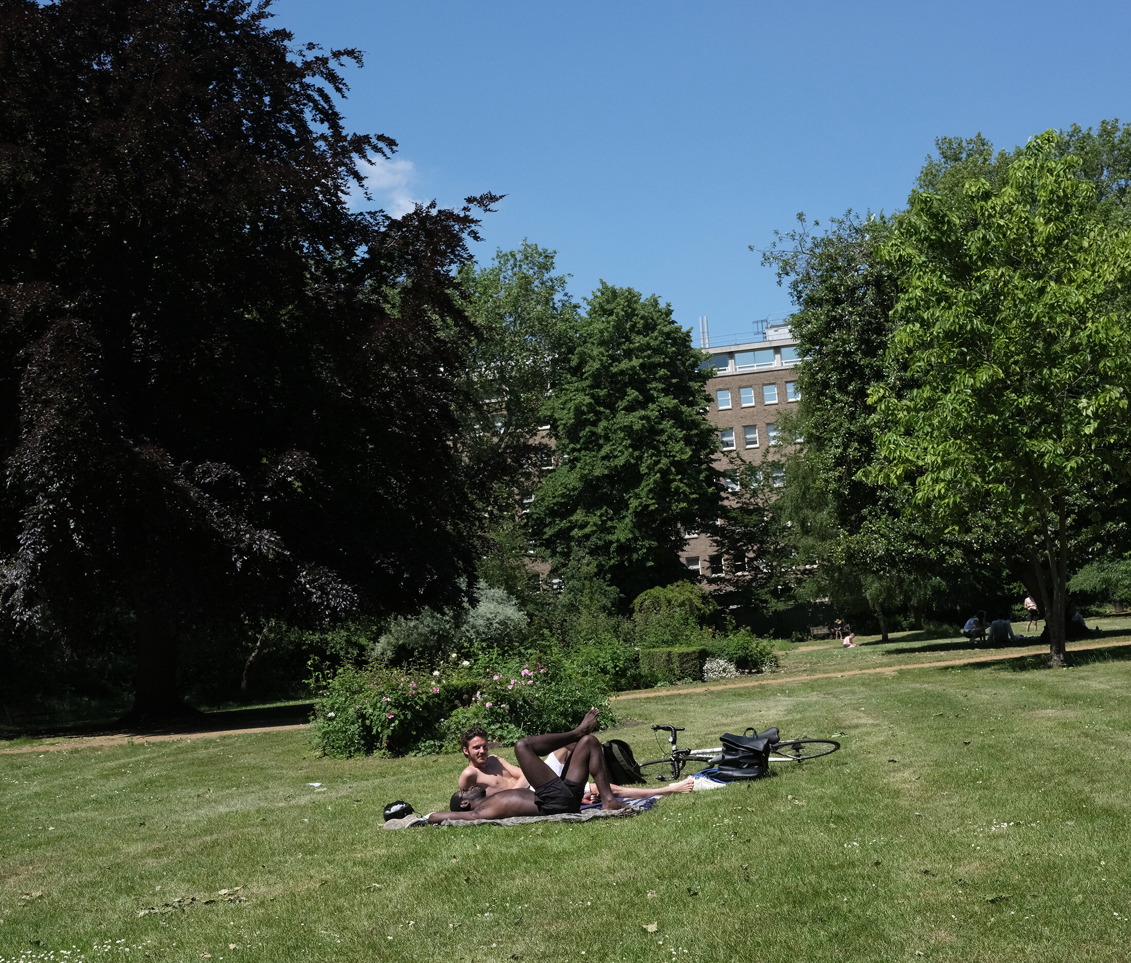 DSCF7058p.jpg
