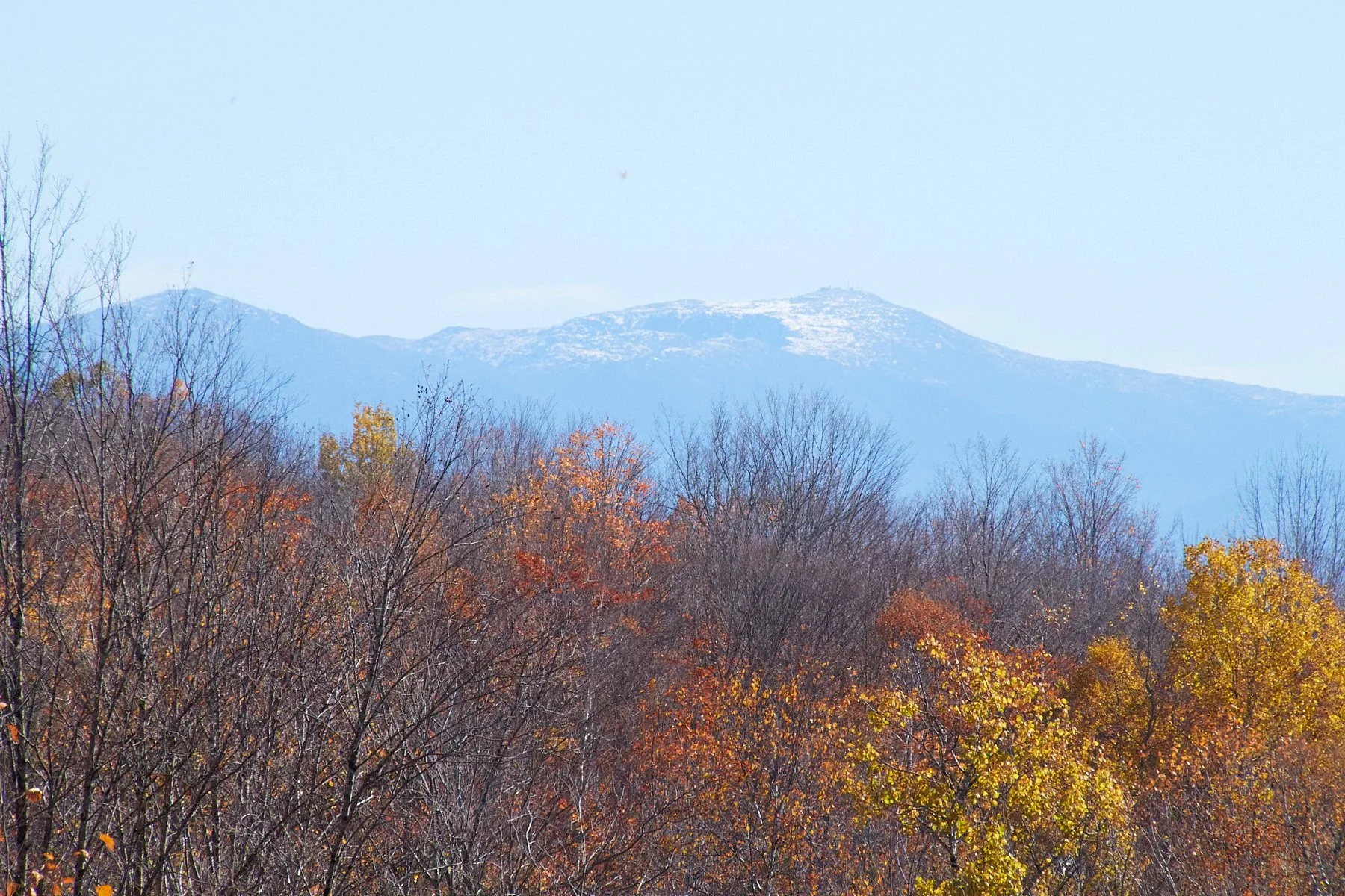 IMG_013010.jpg
