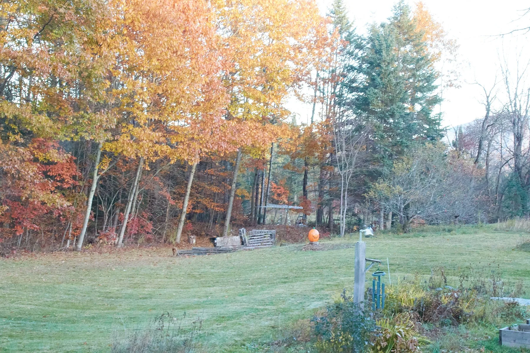 IMG_011510.jpg