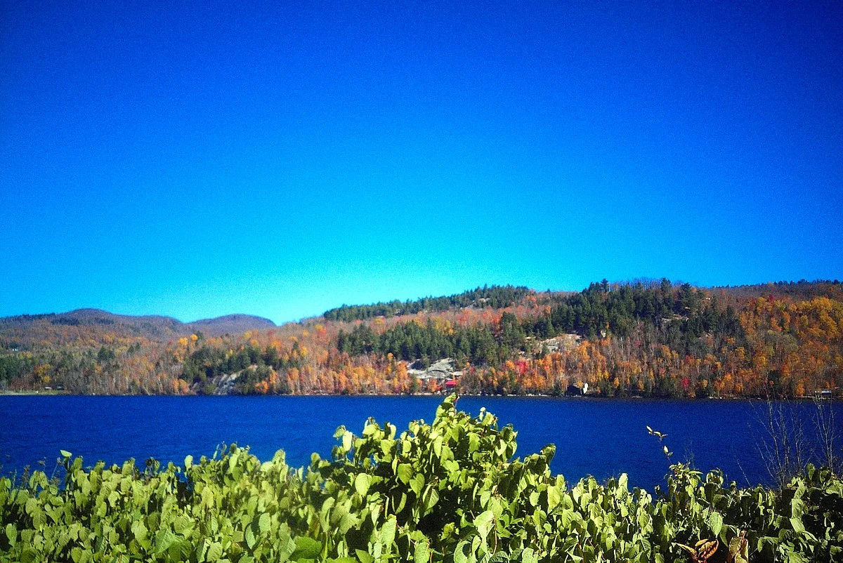2026-10-18_05-11-04_DCIM10182026FJVIVID_0016_processed_FJVIVID10.jpg