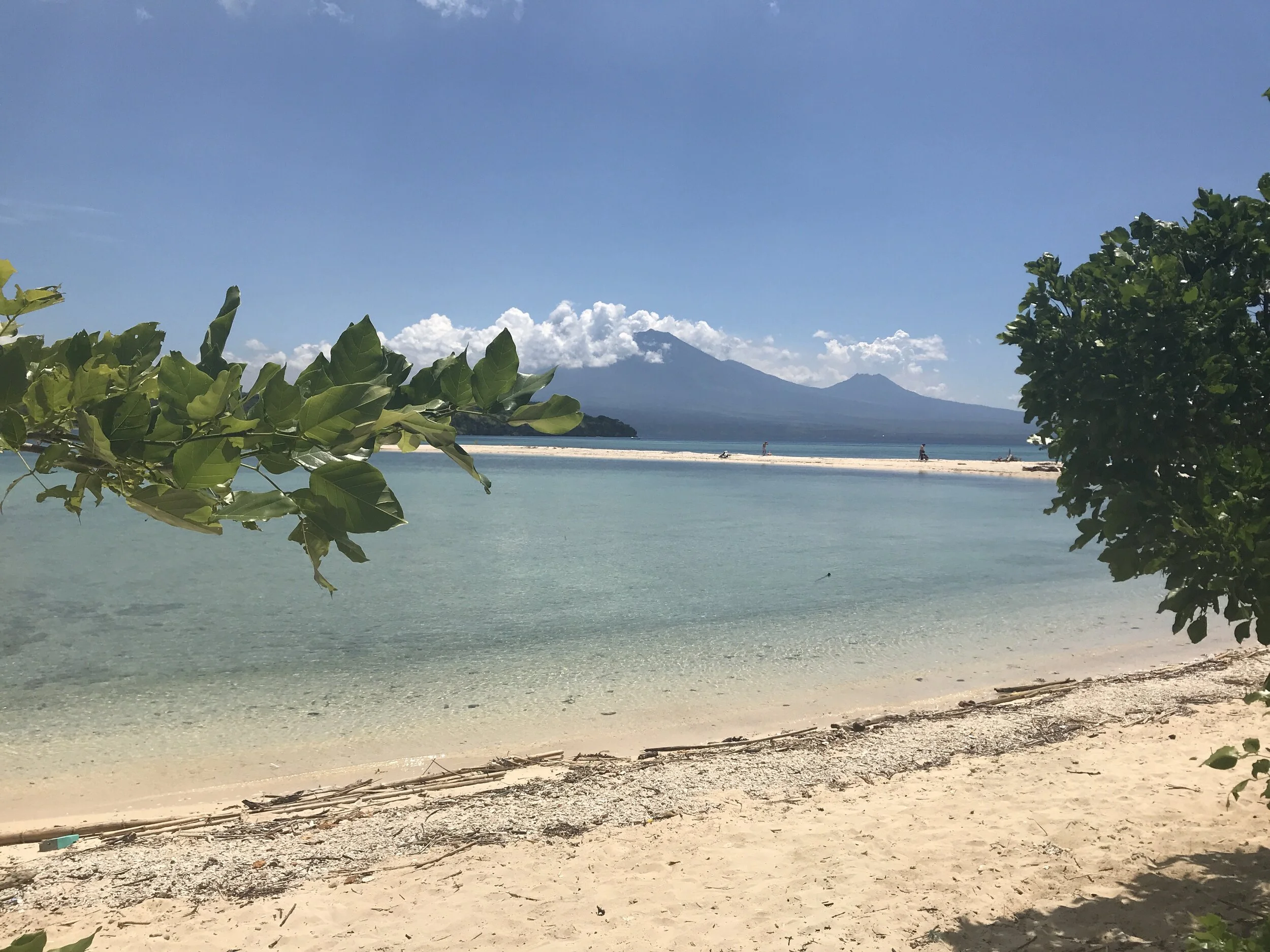 Coping Strategies for Living with Mental Disorder 