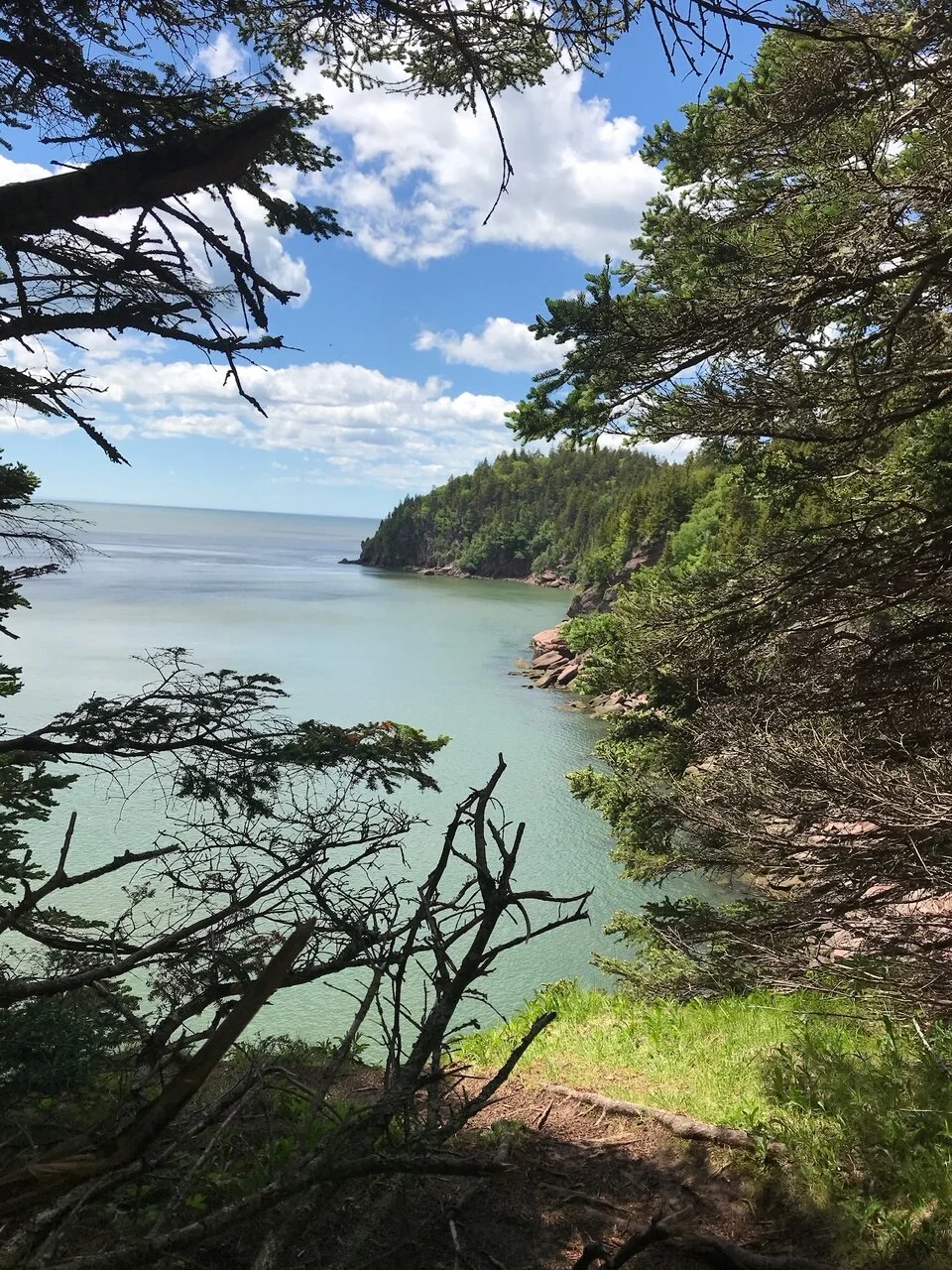 Patience is a virtue