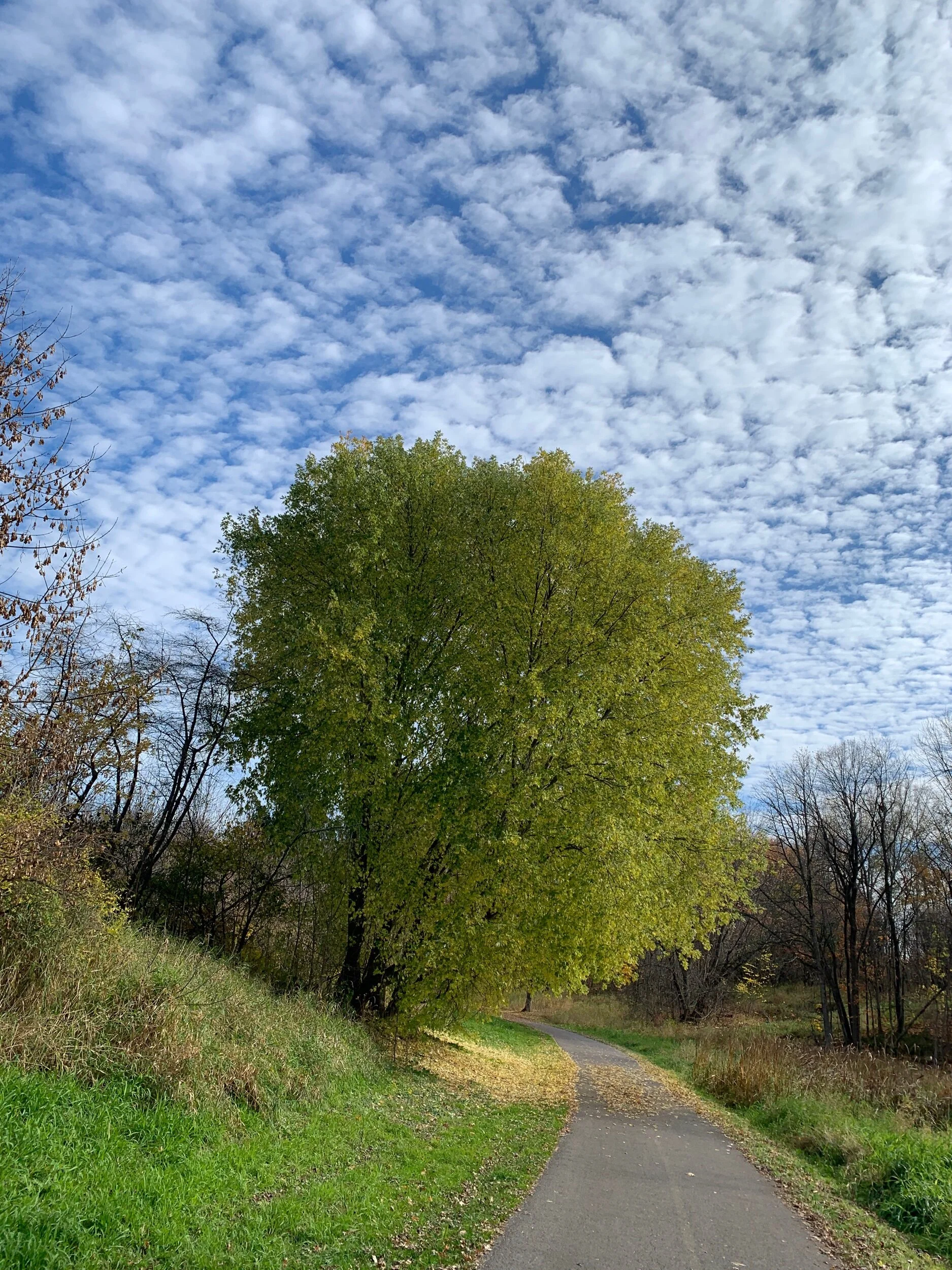 Special place in my heart for my babies